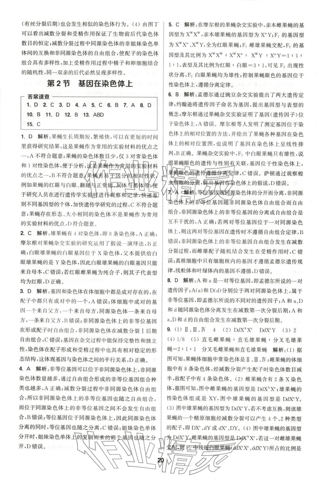 2025年通成学典课时作业本高中生物必修第二册人教版&nbsp;第20页