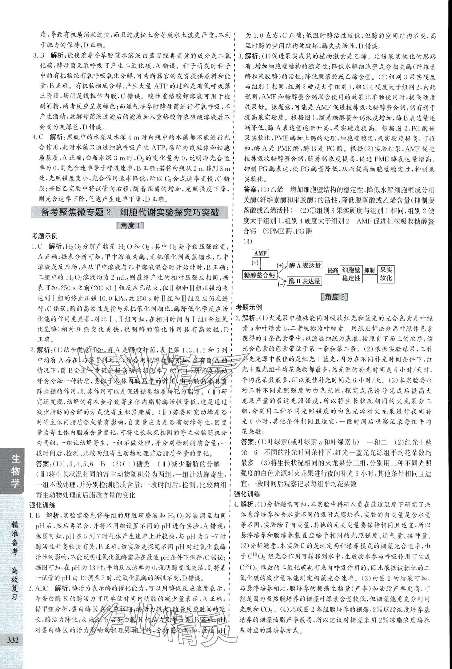 2024年創(chuàng)新思維高考專題復(fù)習(xí)高中生物 第10頁(yè)