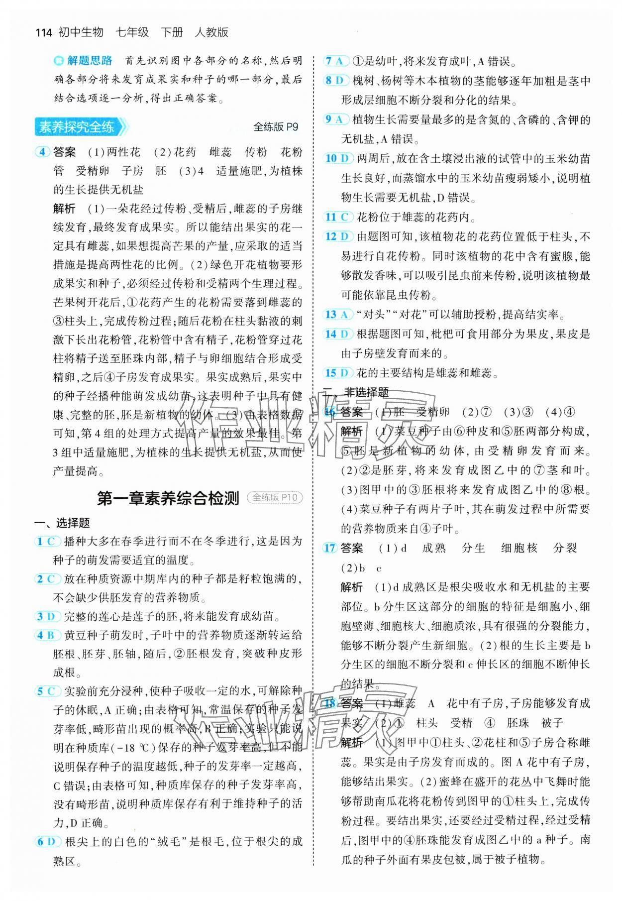 2025年5年中考3年模擬七年級生物下冊人教版 第4頁