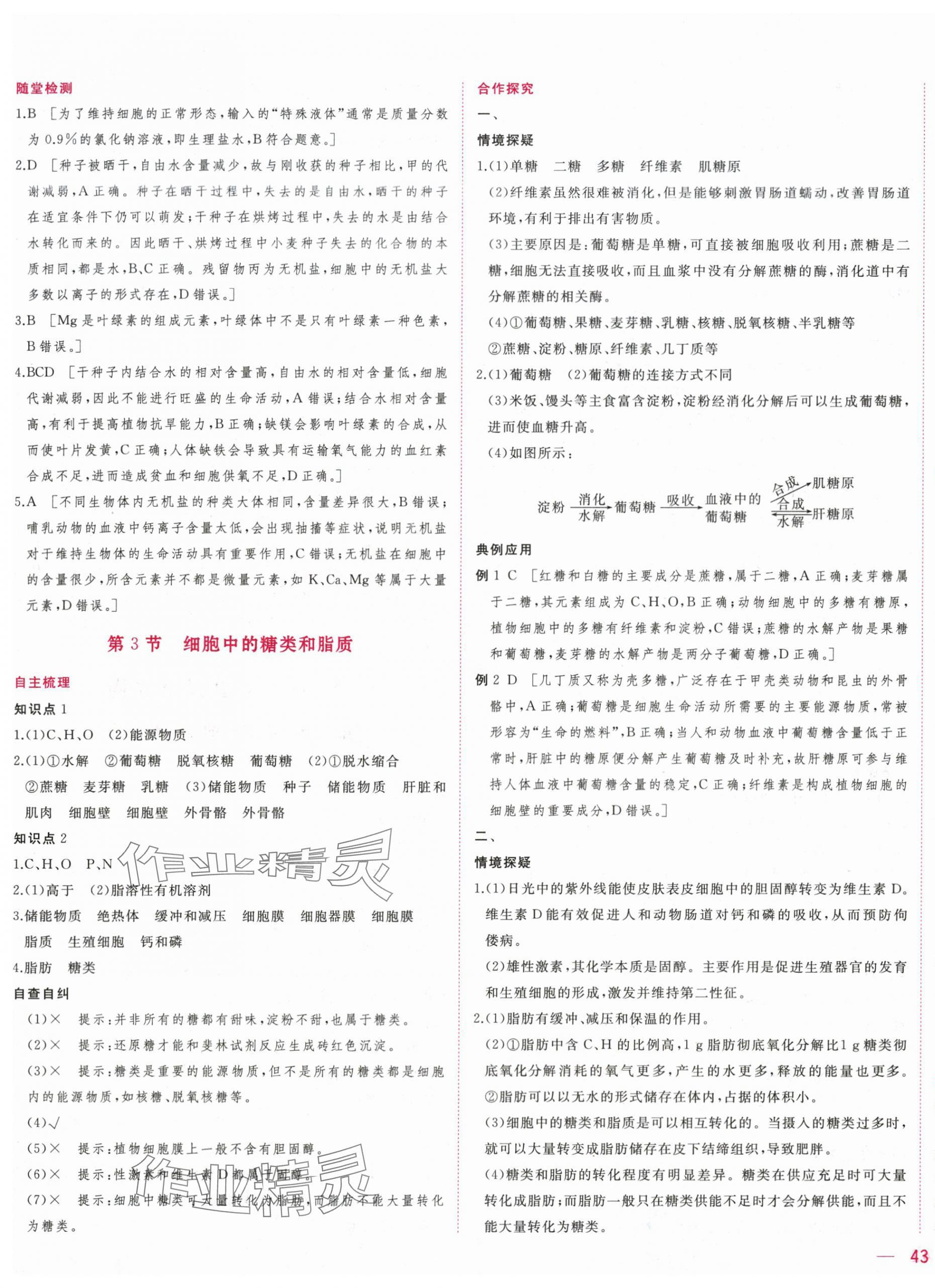 2025年三維隨堂精練高中生物必修1人教版 第5頁(yè)