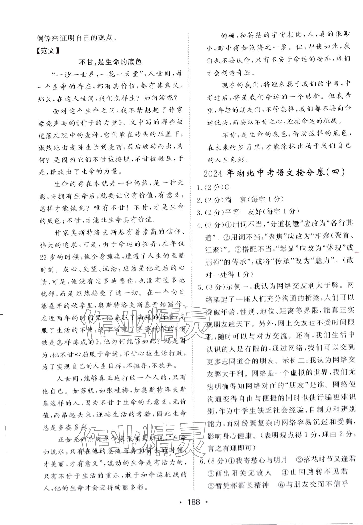 2024年湖北中考搶分卷語(yǔ)文 第12頁(yè)