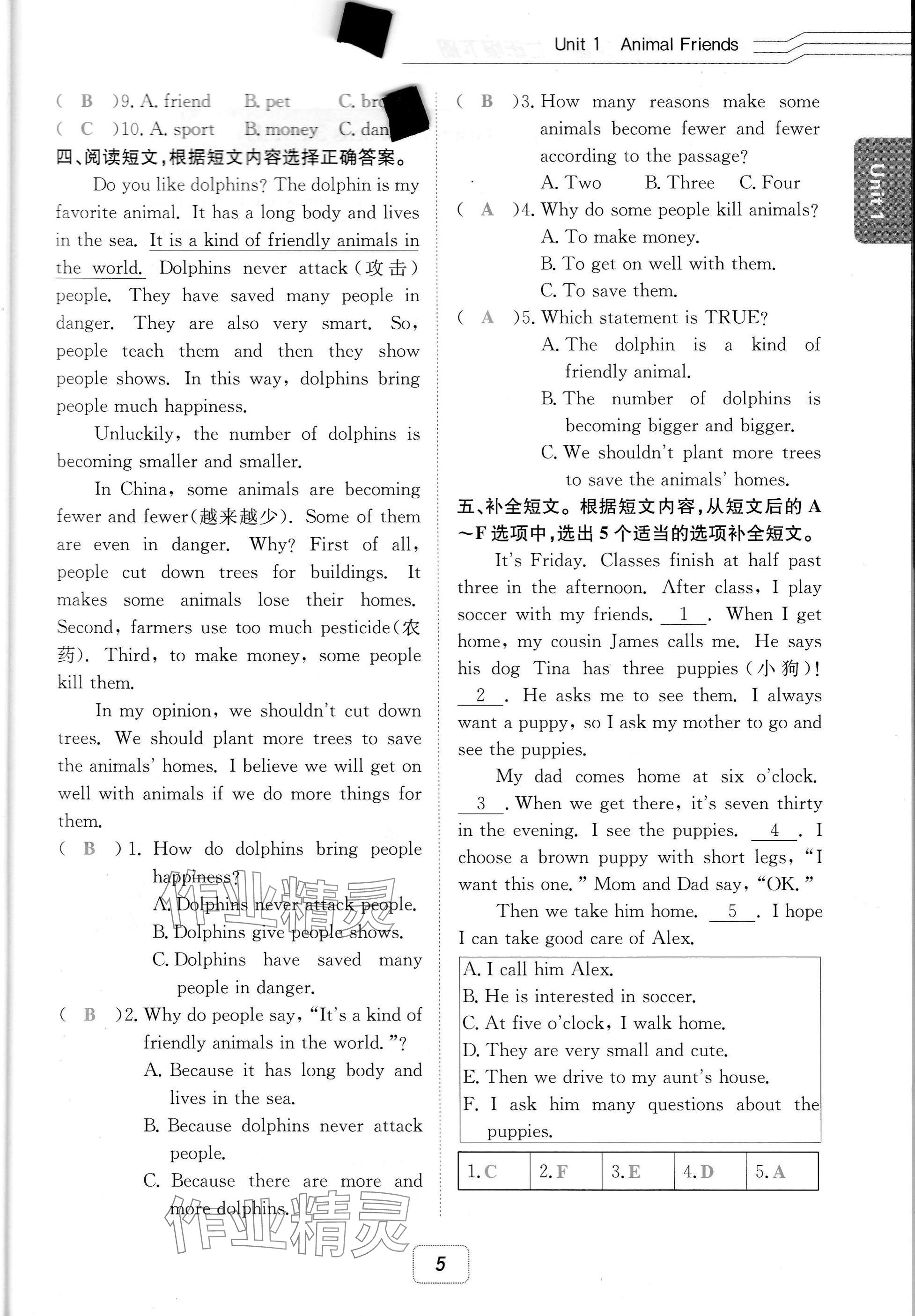 2025年名校金典課堂七年級英語下冊人教版成都專版 參考答案第5頁
