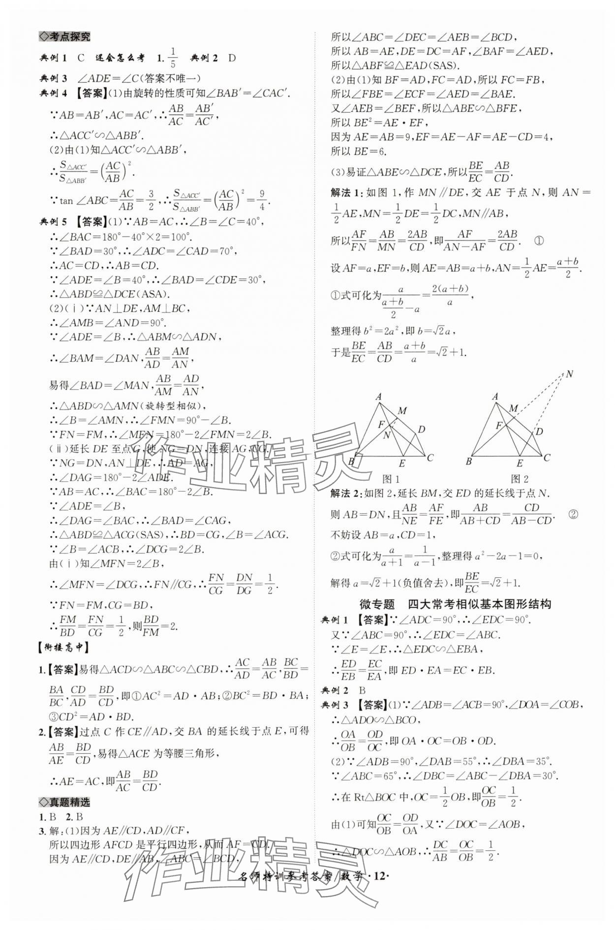 2025年名師特訓(xùn)數(shù)學(xué)安徽專版 第12頁