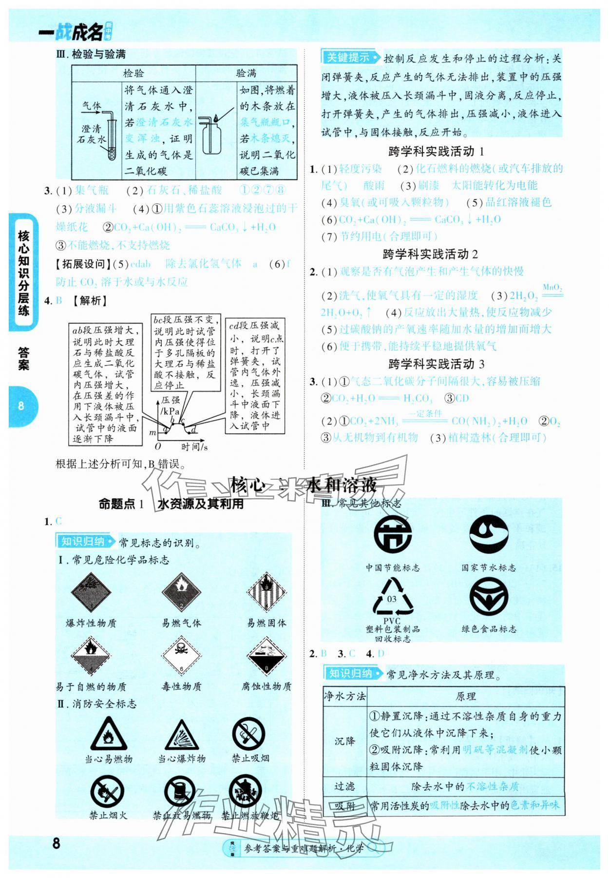 2025年純練版總復習化學 第8頁