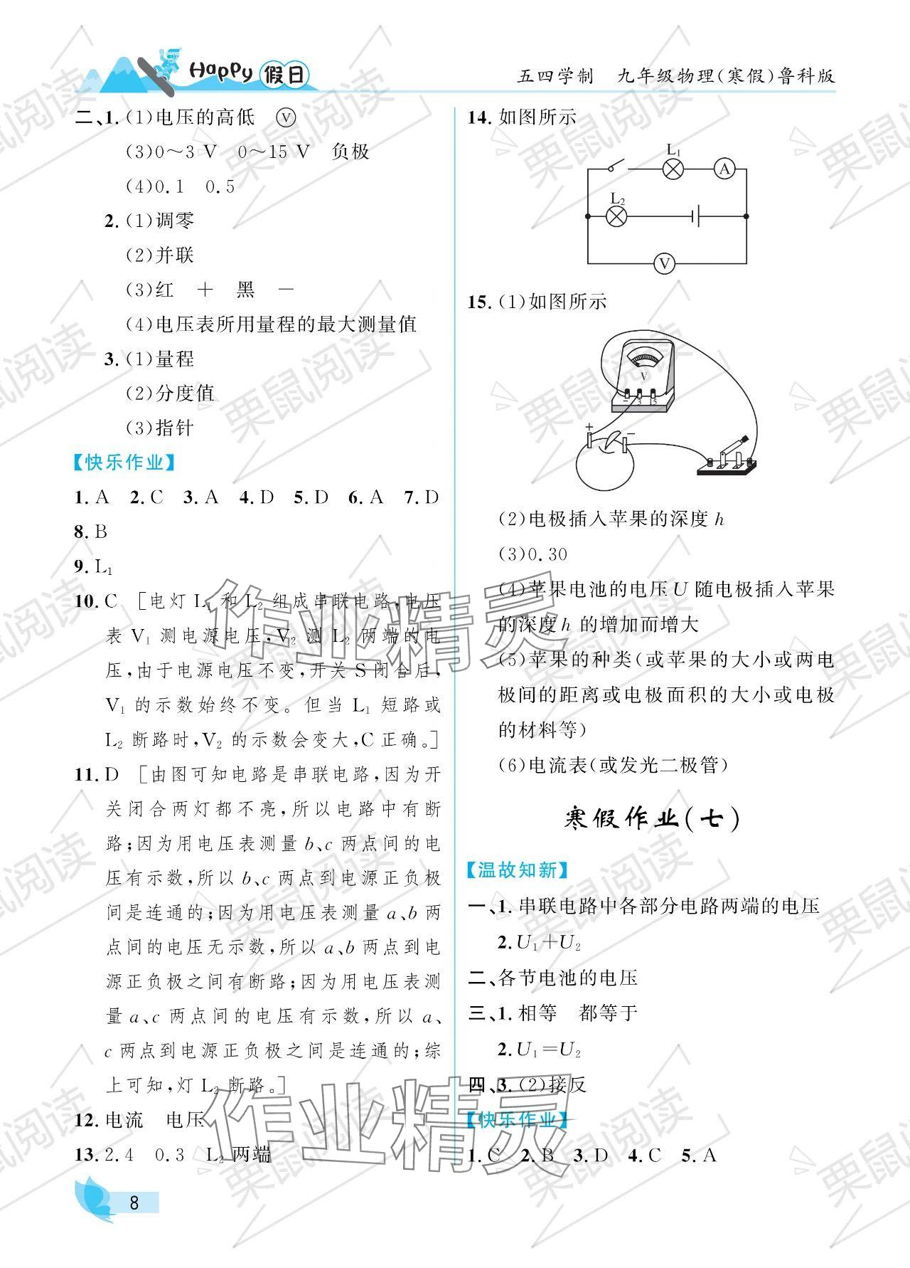 2024年寒假Happy假日九年級(jí)物理魯科版五四制 參考答案第8頁