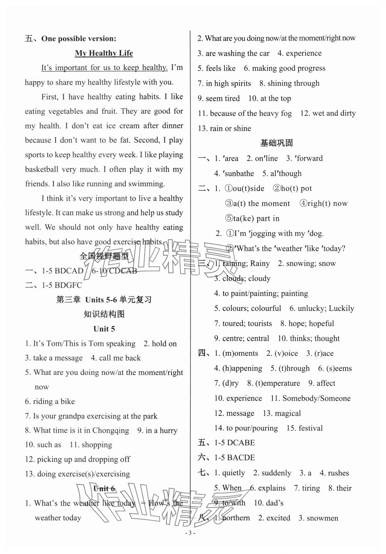 2025年主陣地期末復(fù)習(xí)及學(xué)期銜接七年級英語下冊人教版 參考答案第3頁