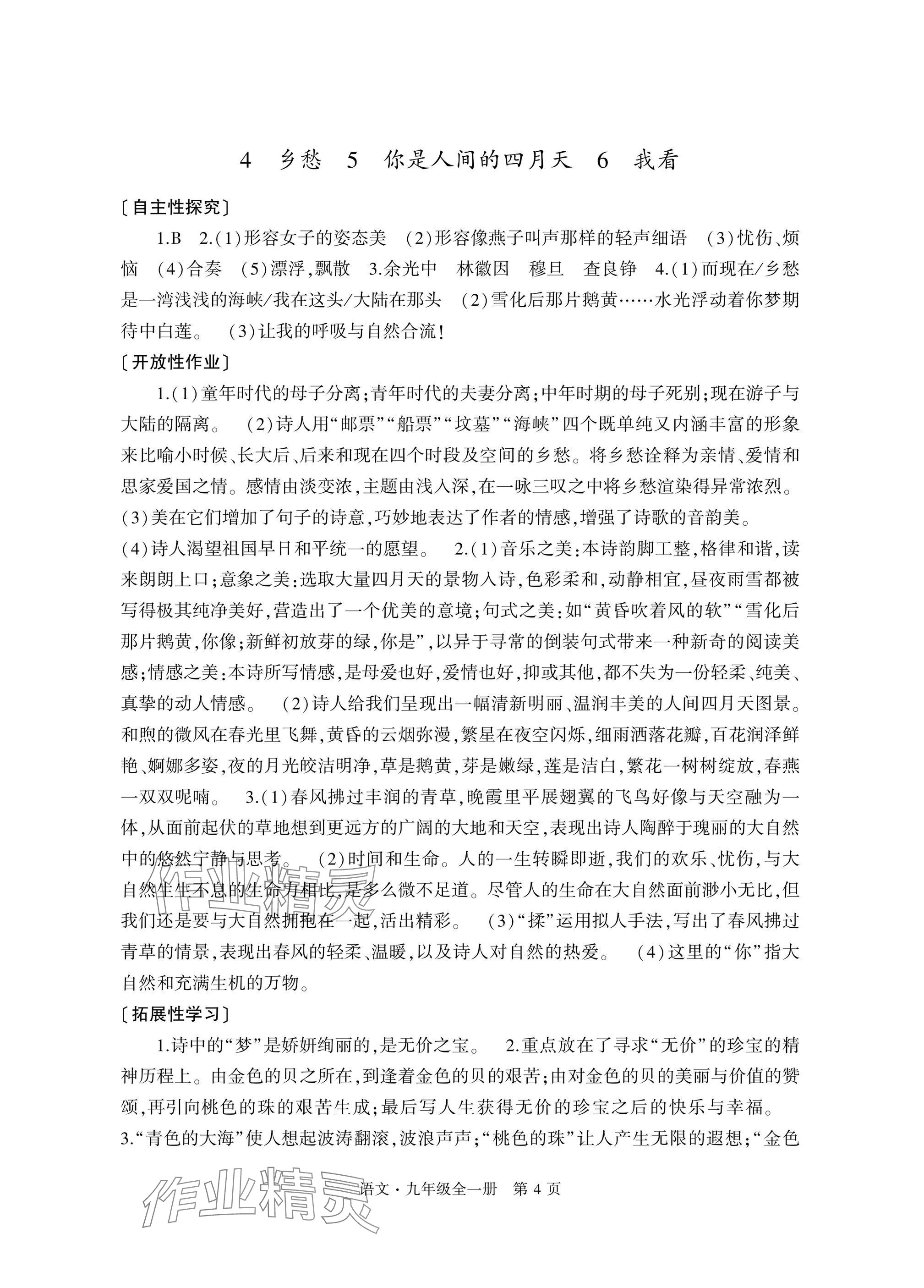 2024年自主學(xué)習(xí)指導(dǎo)課程與測(cè)試九年級(jí)語(yǔ)文全一冊(cè)人教版 參考答案第4頁(yè)