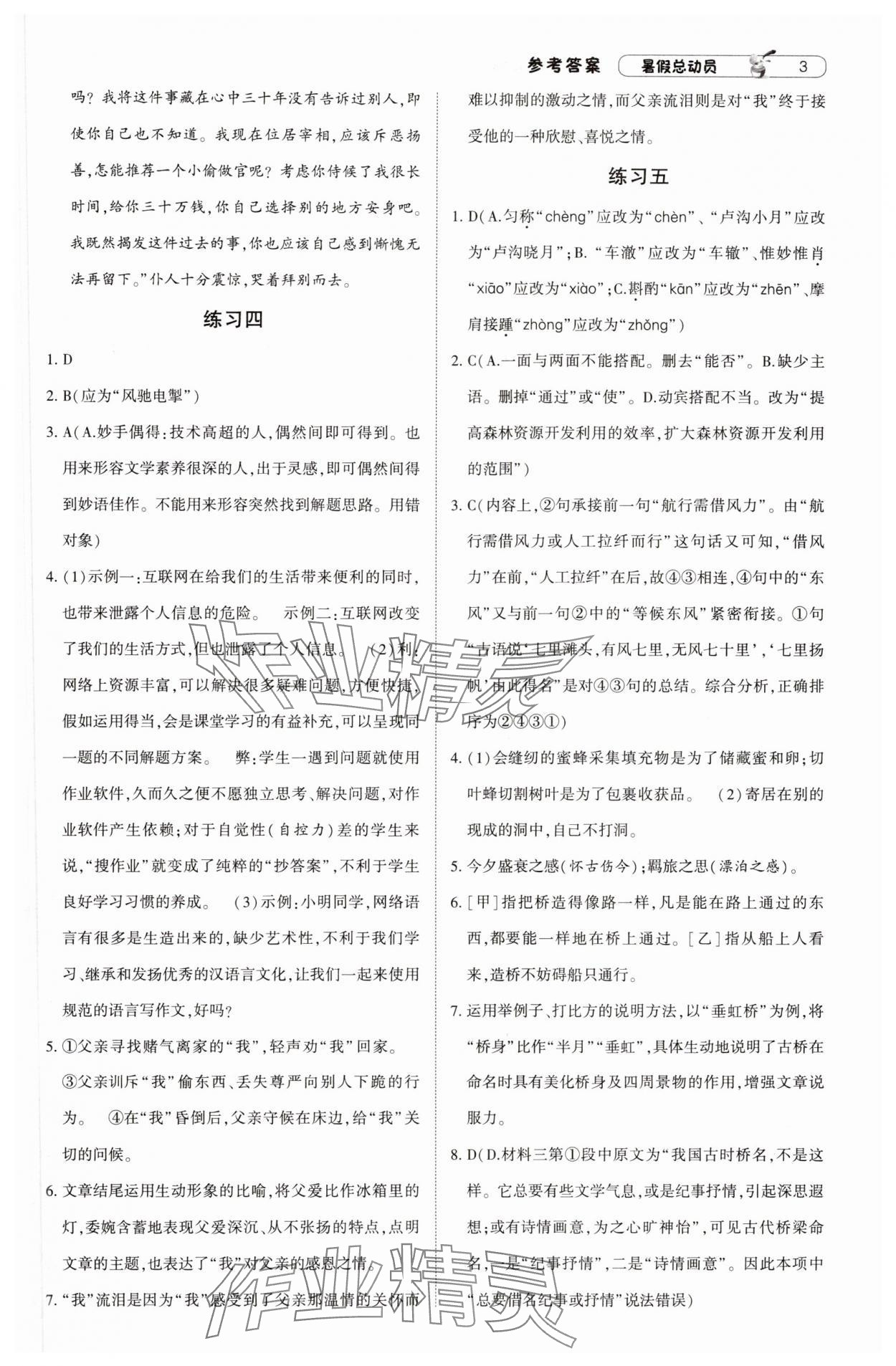 2025年暑假總動(dòng)員寧夏人民教育出版社八升九語文人教版 第3頁