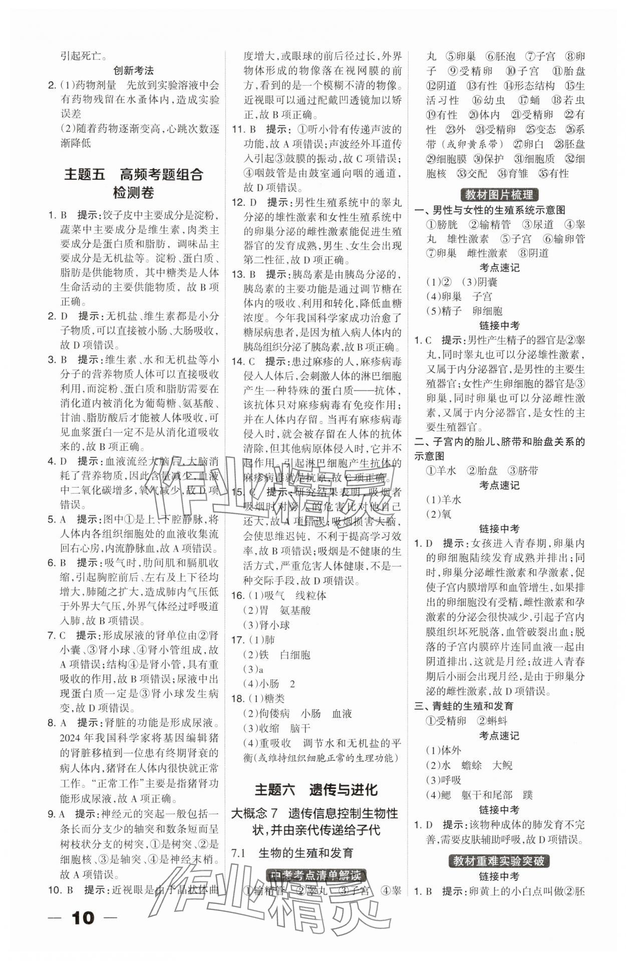 2025年河北中考总动员生物&nbsp;参考答案第10页