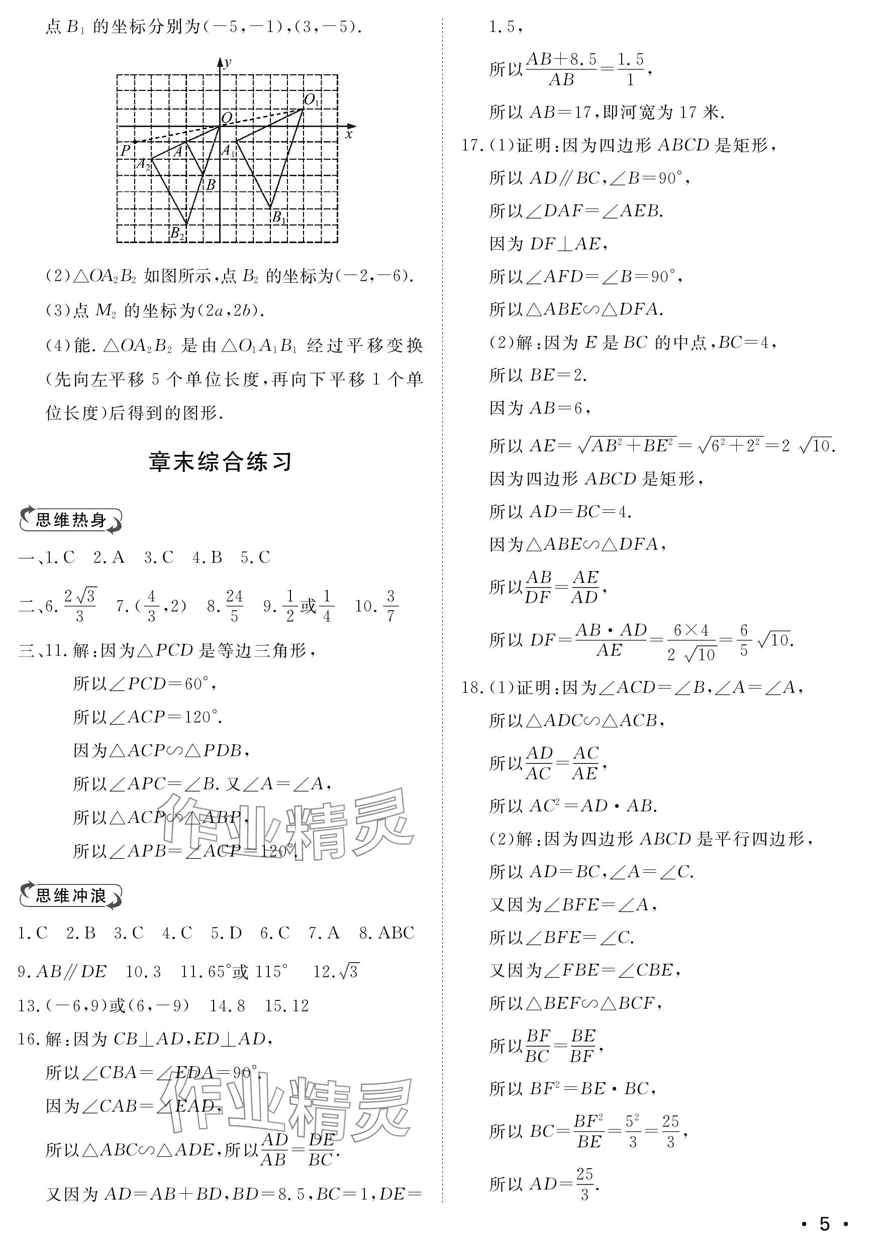 2023年行知天下九年級(jí)數(shù)學(xué)上冊(cè)青島版 參考答案第5頁(yè)