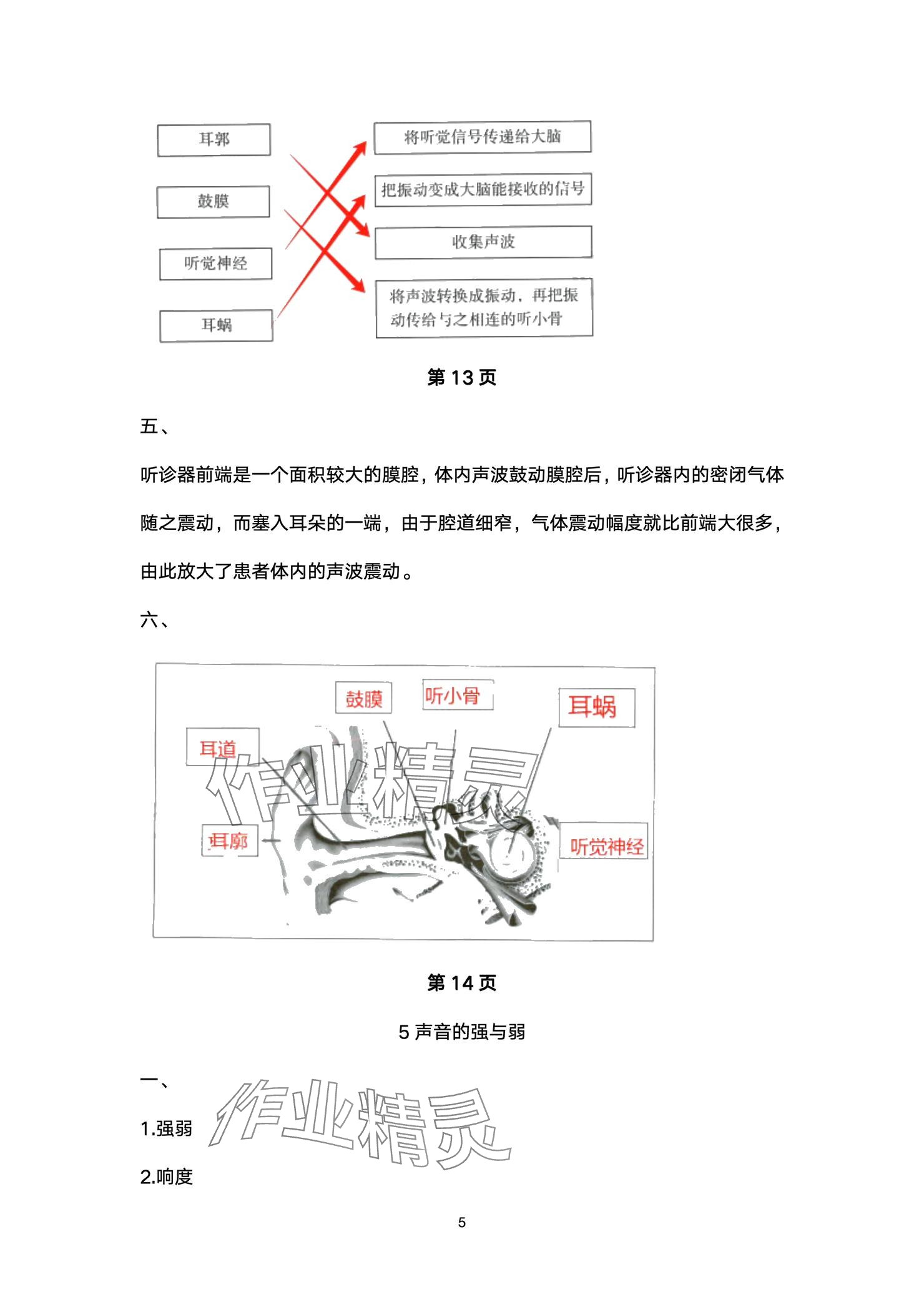 2024年云南省标准教辅同步指导训练与检测四年级科学上册教科版 参考答案第5页