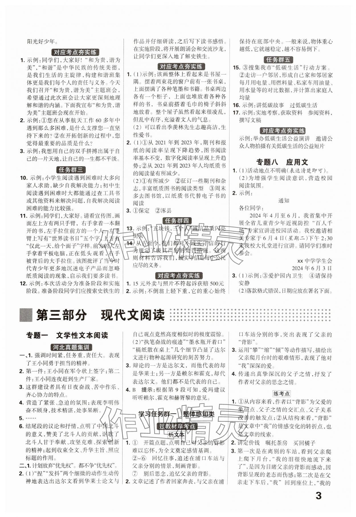 2025年全優(yōu)中考系統(tǒng)總復(fù)習(xí)語文河北專版 參考答案第3頁