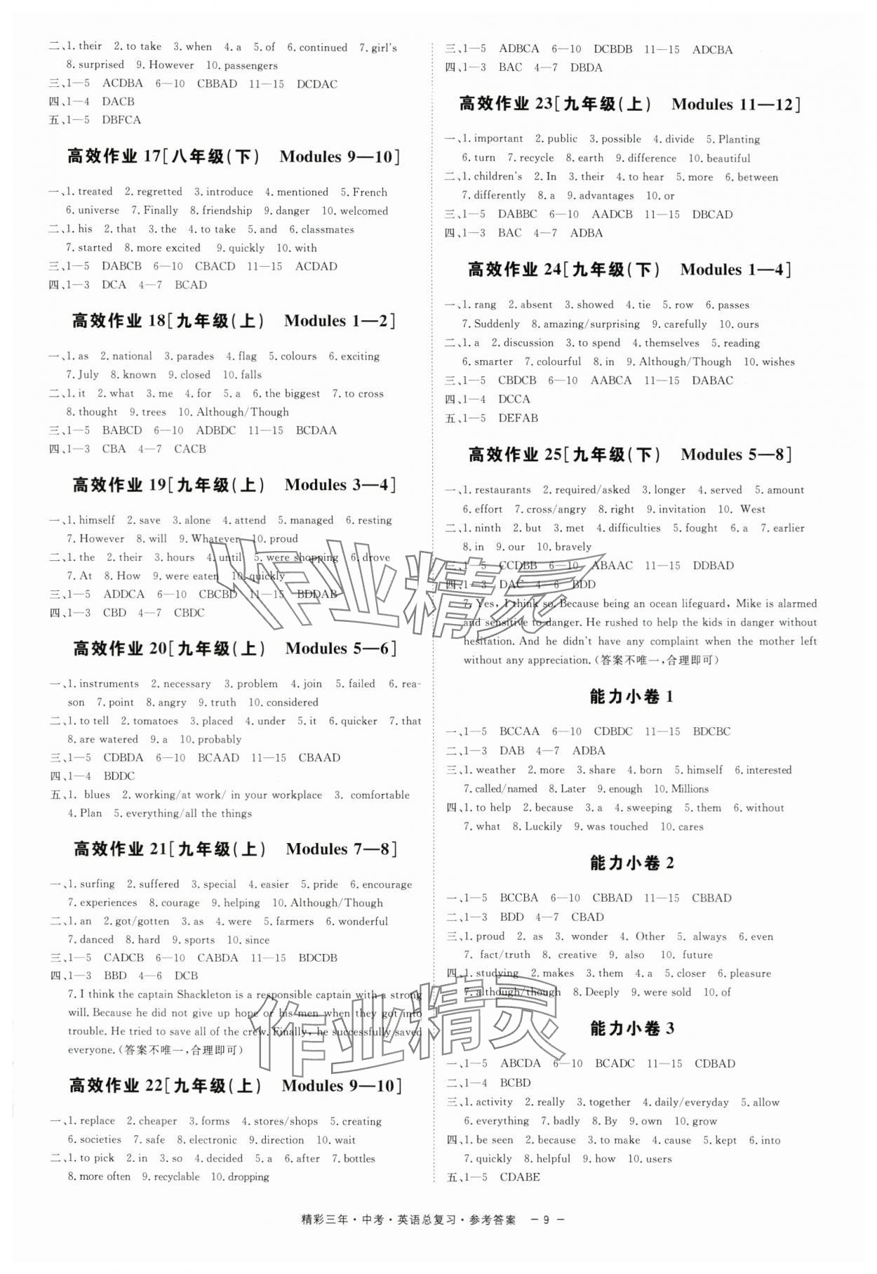 2024年精彩三年中考英語外研版 參考答案第9頁