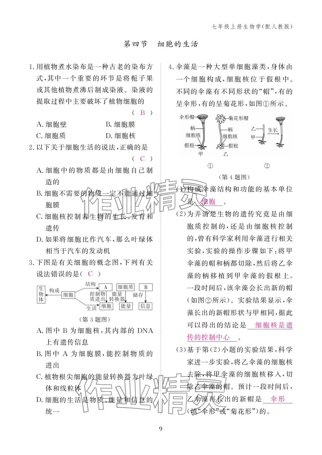 2025年作业本江西教育出版社七年级生物上册人教版 参考答案第9页