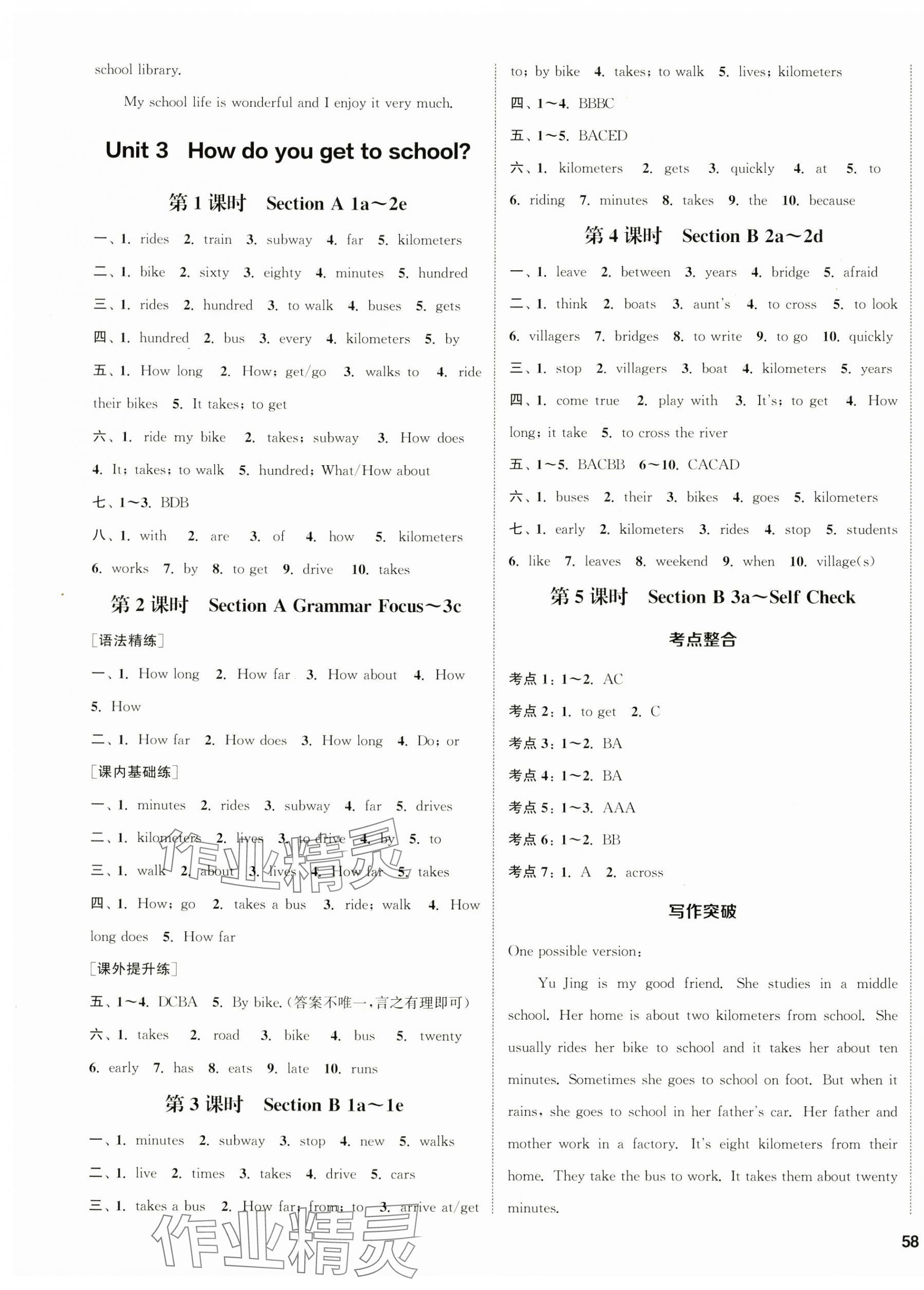 2024年通城學(xué)典課時(shí)作業(yè)本七年級(jí)英語下冊(cè)人教版浙江專版 第3頁