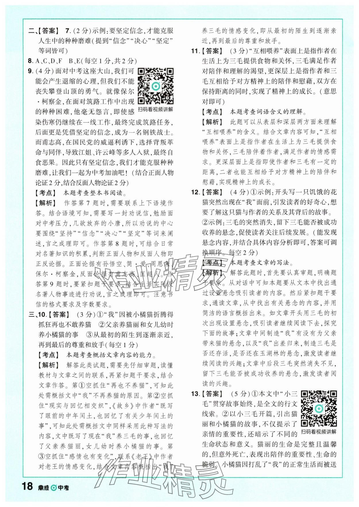 2025年中考仿真卷語文浙江專版 參考答案第16頁