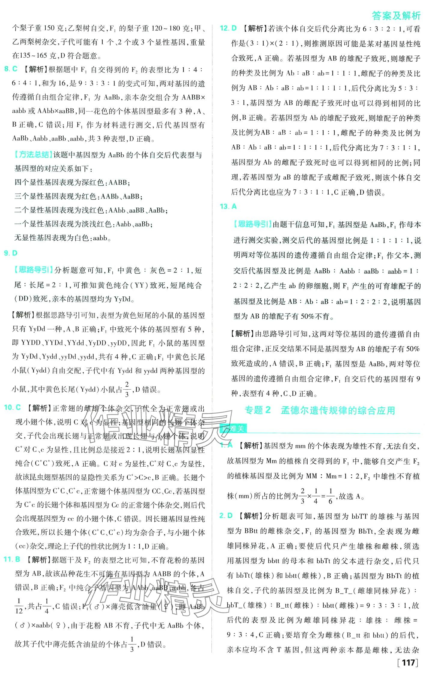 2024年高中必刷題高中生物必修2人教版 第12頁