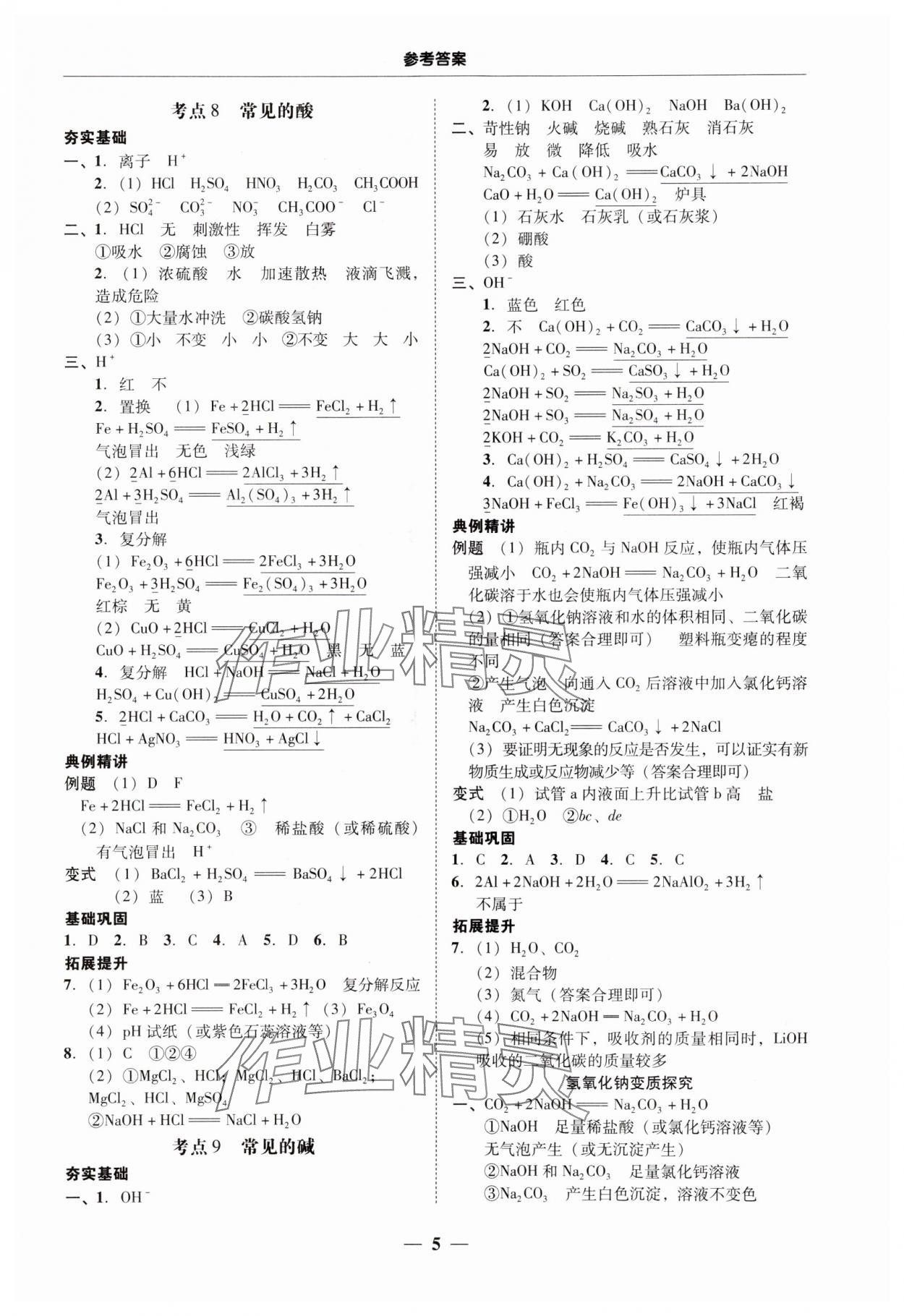 2024年南粵學(xué)典中考解讀化學(xué) 第5頁