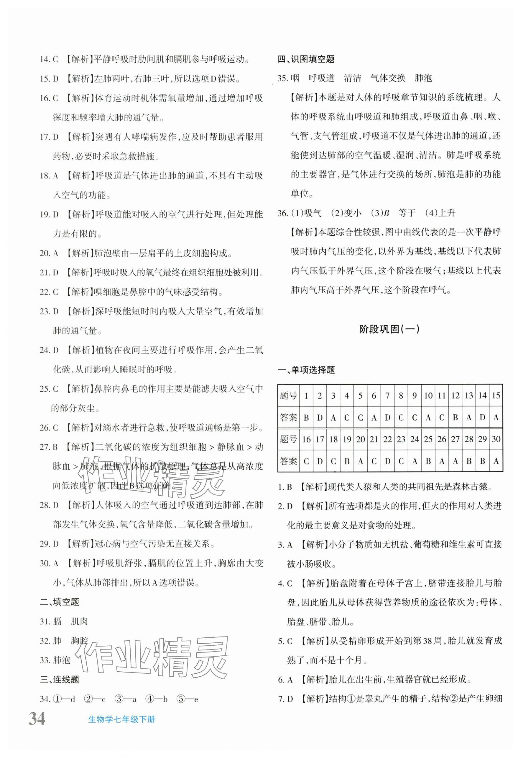 2024年優(yōu)學(xué)1+1評價與測試七年級生物下冊人教版 第3頁