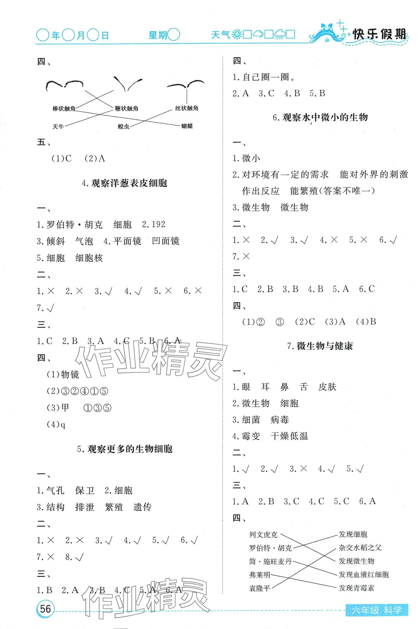 2024年寒假作业湖北教育出版社六年级科学 第2页