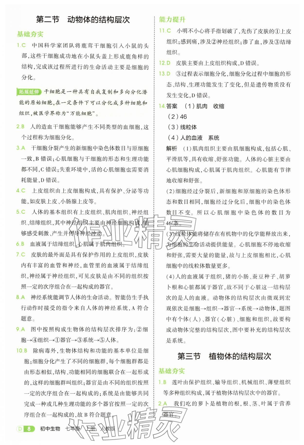 2025年5年中考3年模拟七年级生物上册人教版 参考答案第8页