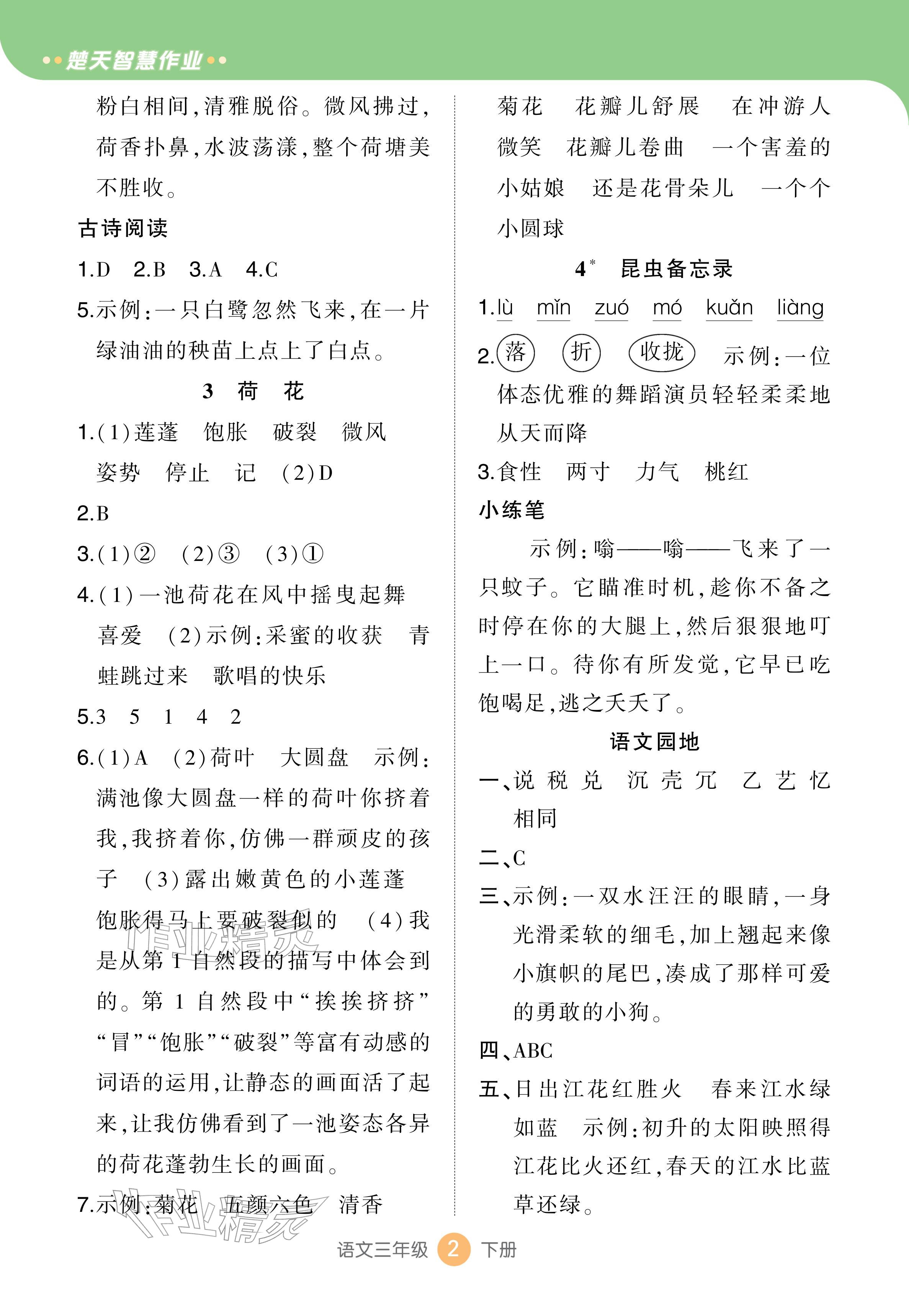 2026年AI智慧作业三年级语文下册人教版&nbsp;参考答案第2页