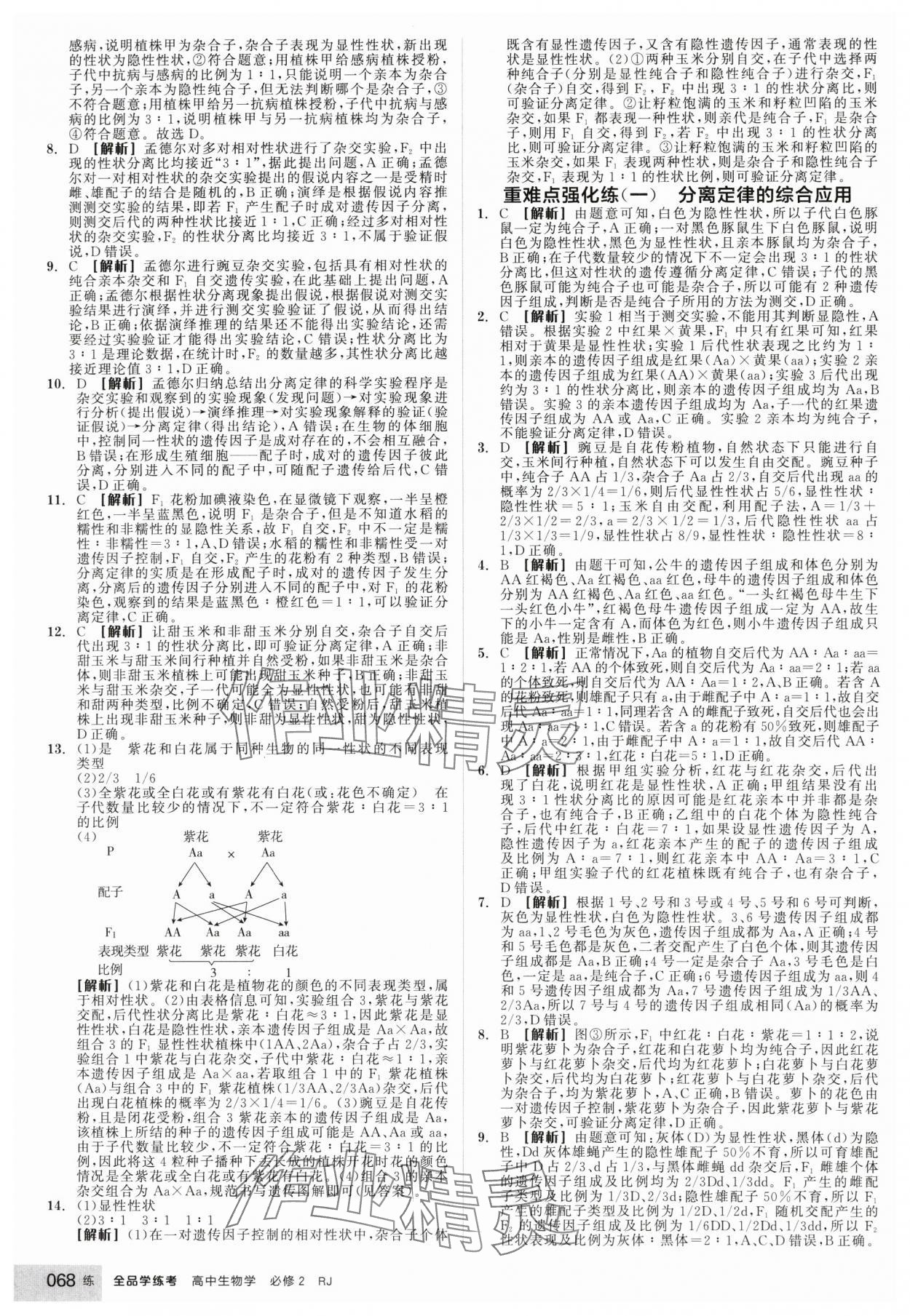 2025年全品学练考高中生物必修2人教版 第2页