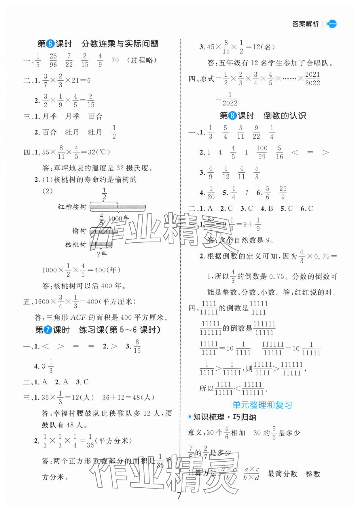 2024年細解巧練六年級數(shù)學上冊蘇教版 參考答案第7頁