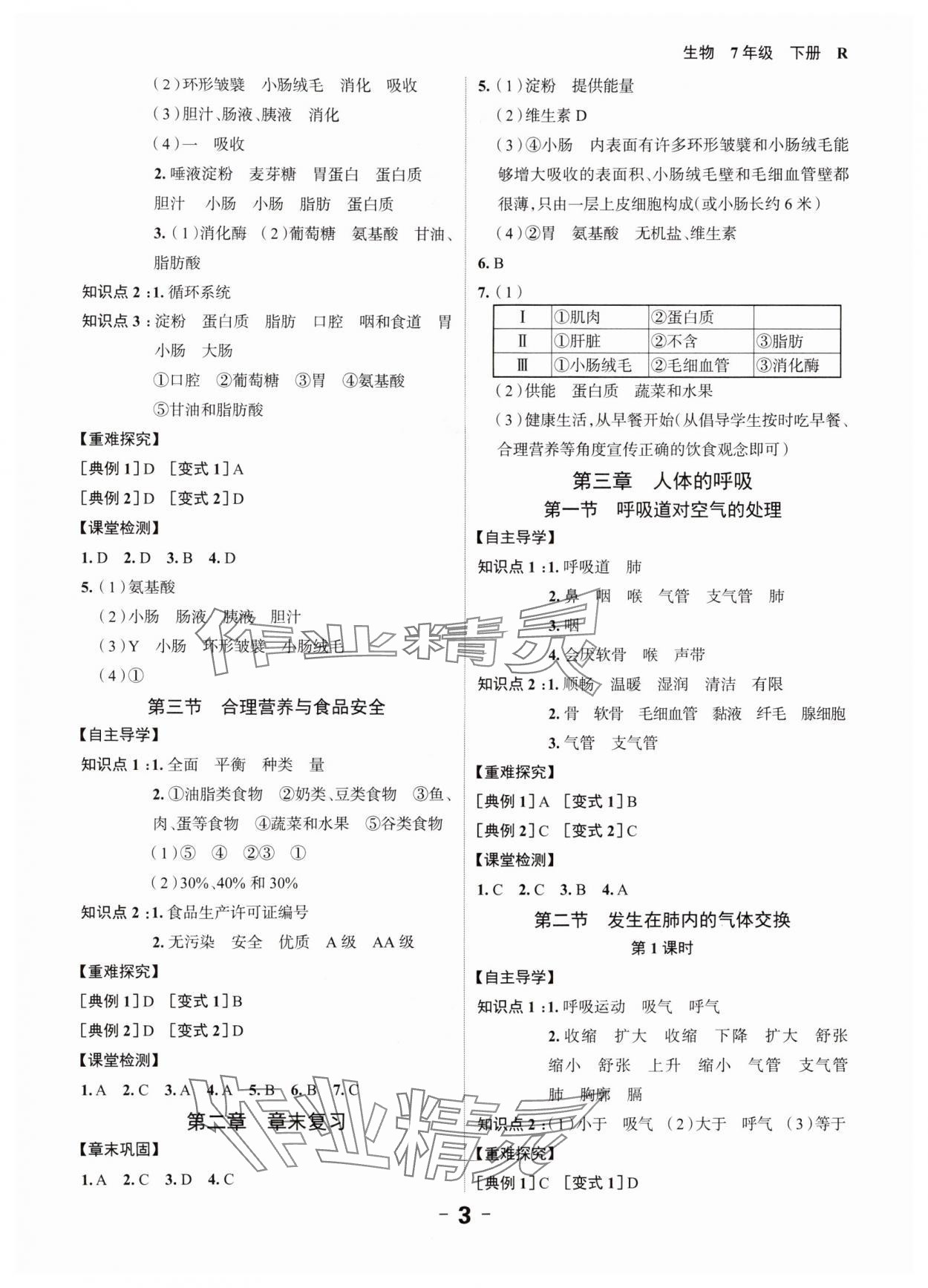 2024年全程突破七年級生物下冊人教版 第3頁