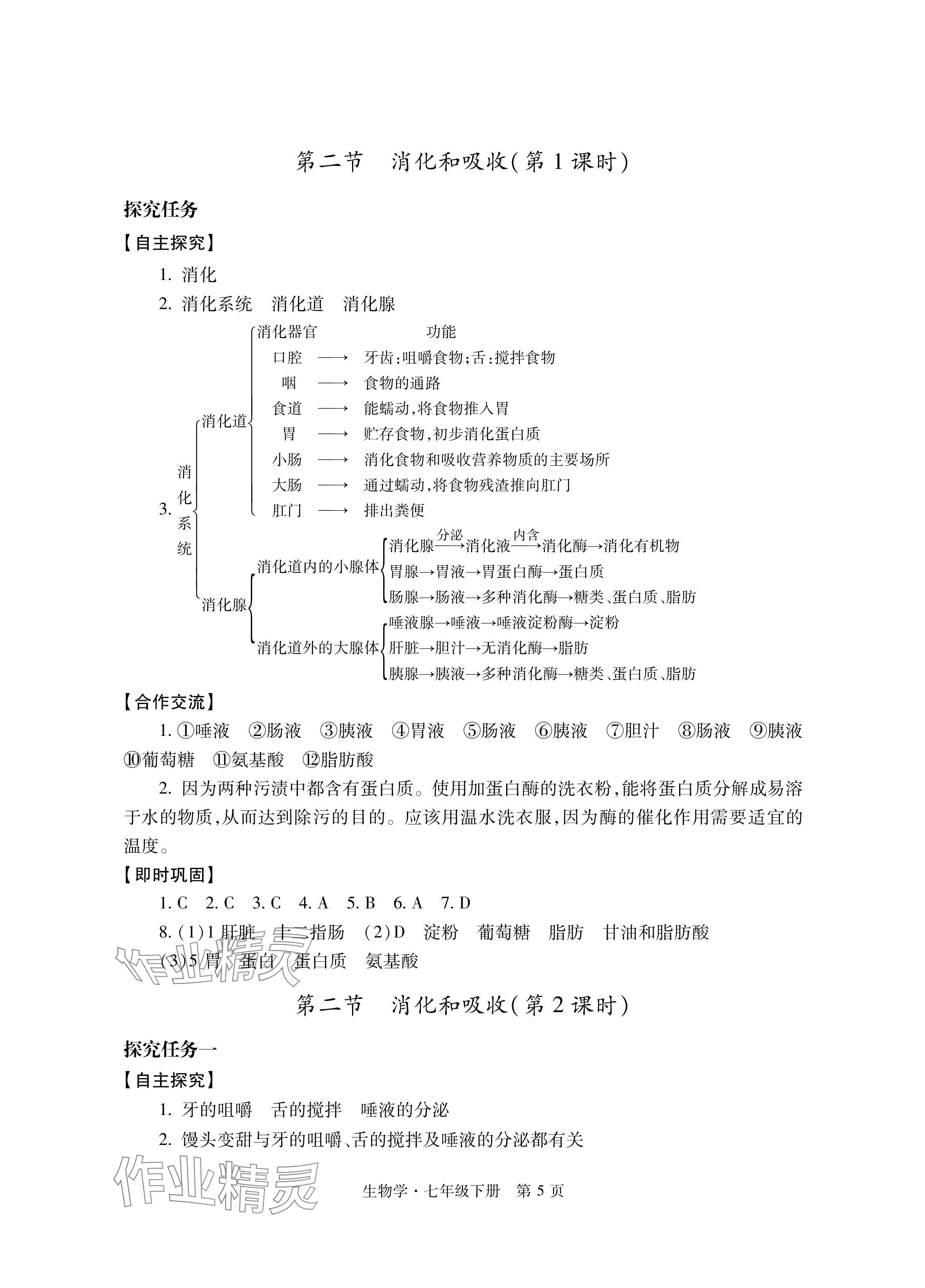 2024年自主學習指導課程與測試七年級生物下冊人教版 參考答案第5頁