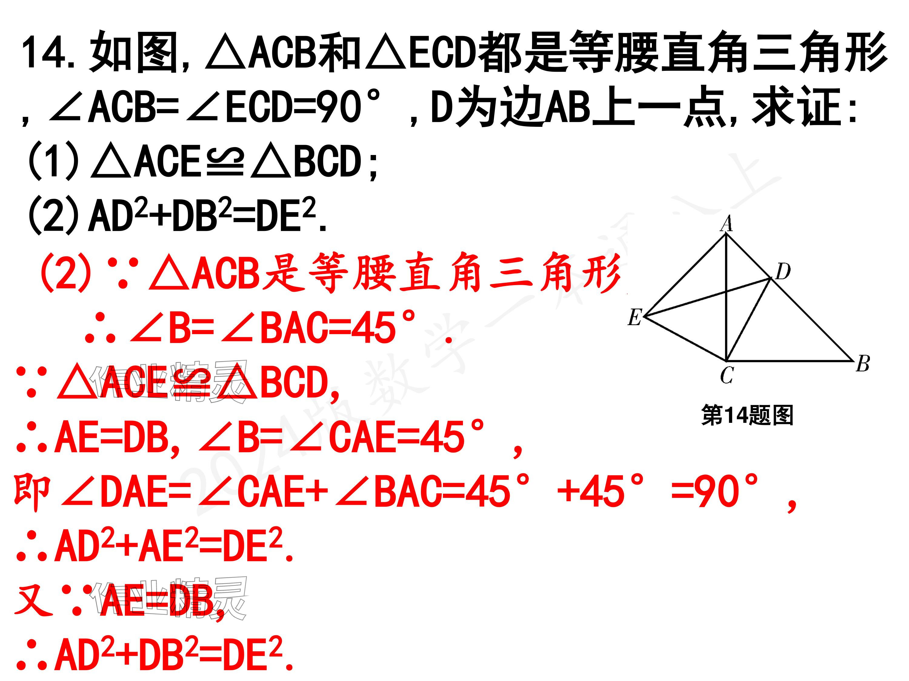 2024年一本通武漢出版社八年級(jí)數(shù)學(xué)上冊(cè)北師大版核心板 參考答案第13頁(yè)