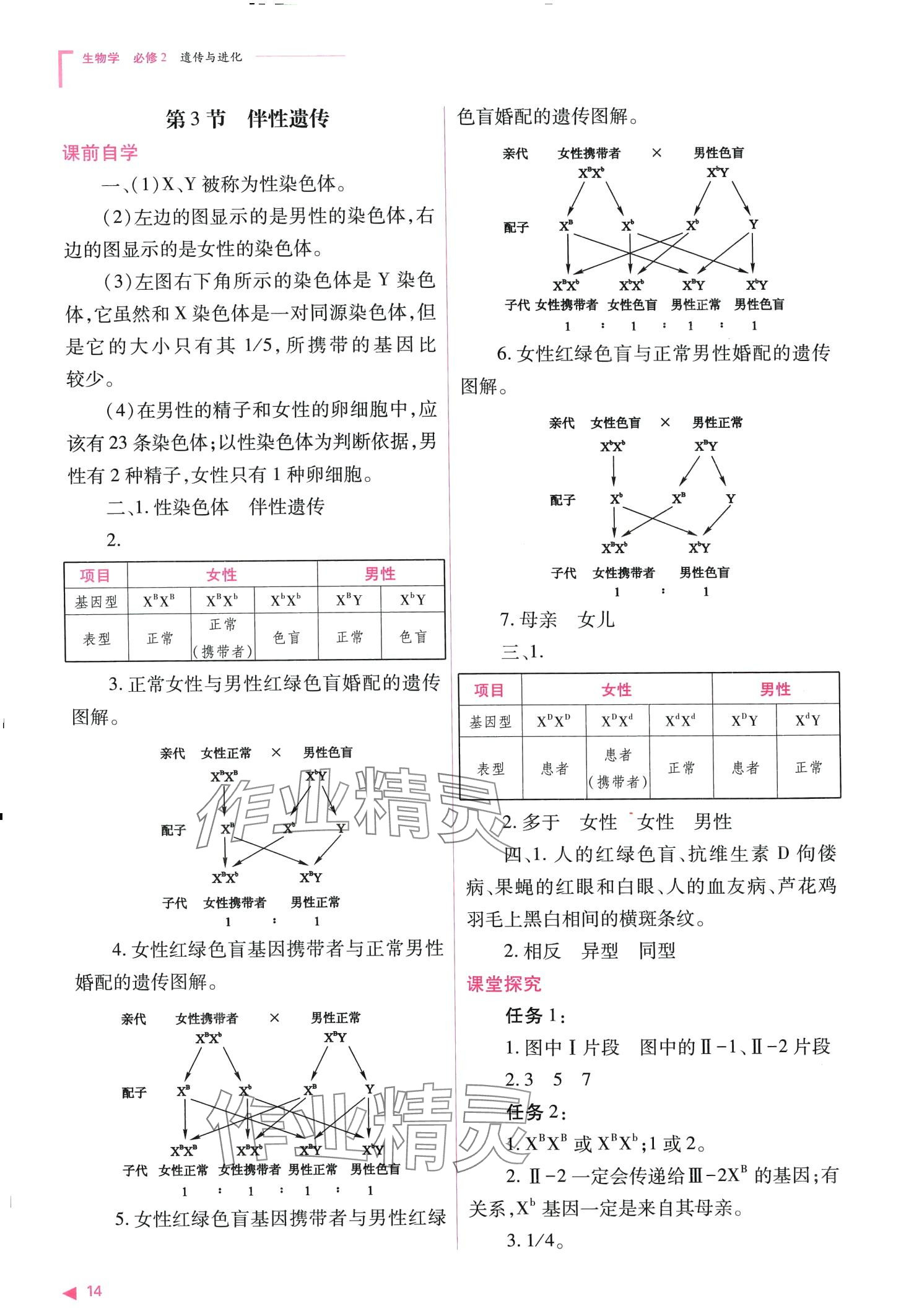 2024年普通高中新课程同步练习册高中生物必修2人教版 第14页