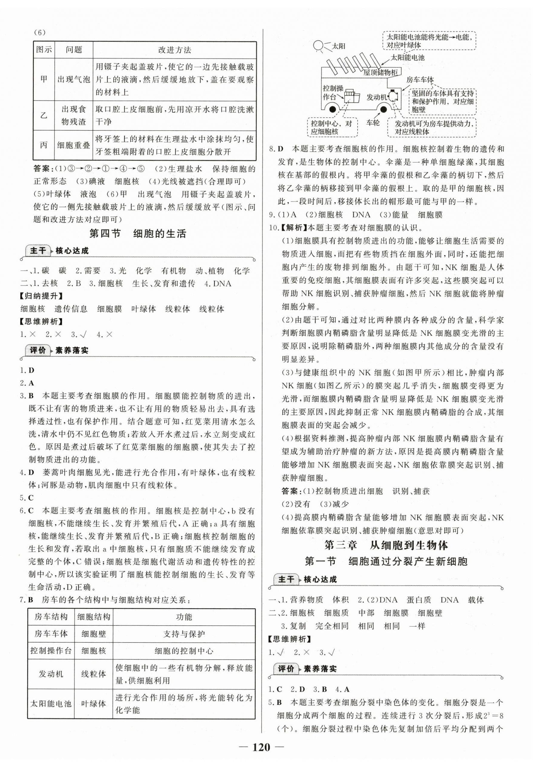 2025年世纪金榜金榜学案七年级生物上册人教版 第4页