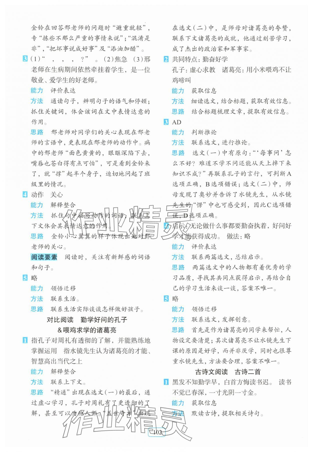 2025年知行合阅读主题拓展训练三年级上册人教版 第2页