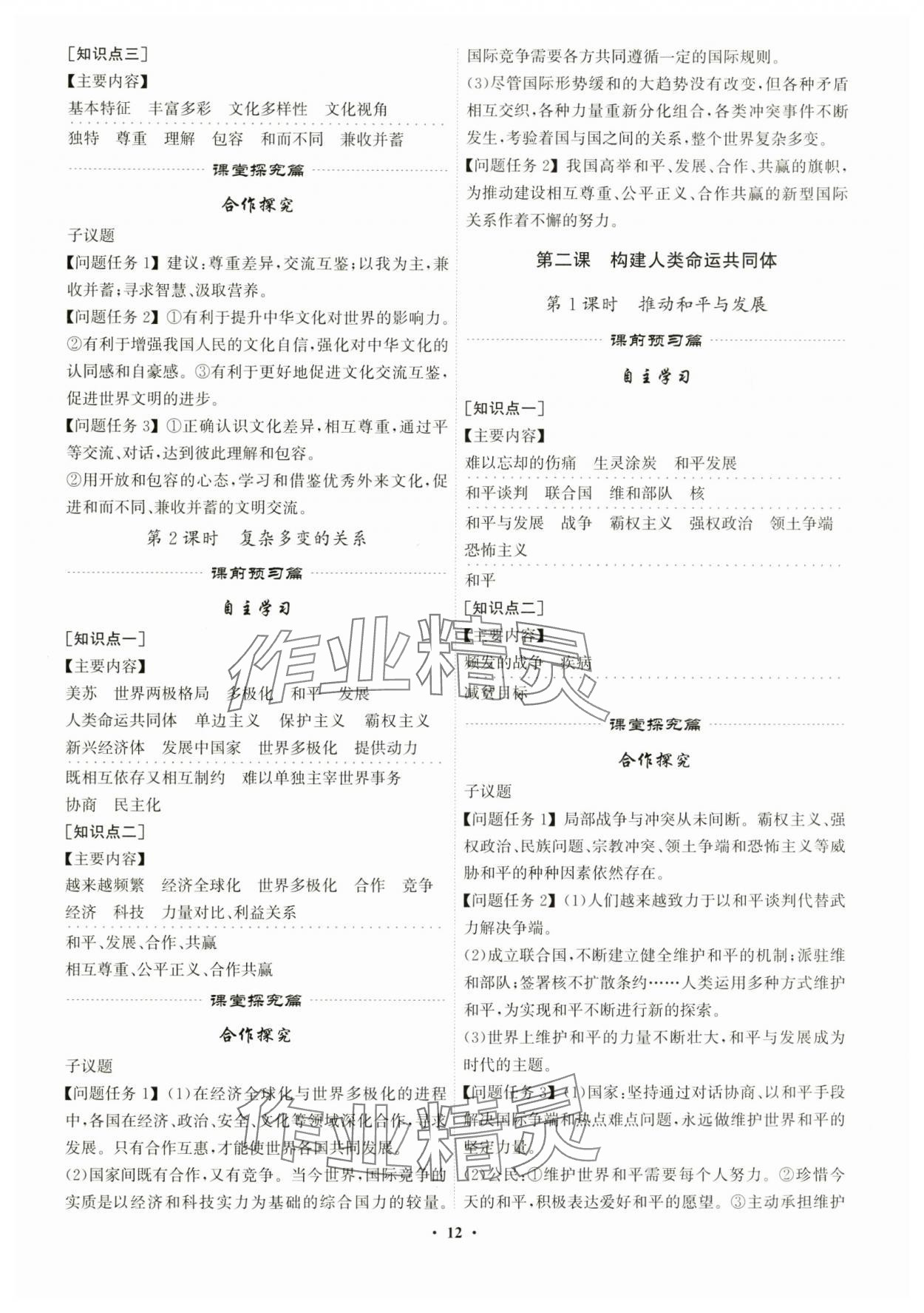 2024年精準(zhǔn)同步九年級道德與法治全一冊人教版廣州專版 第12頁