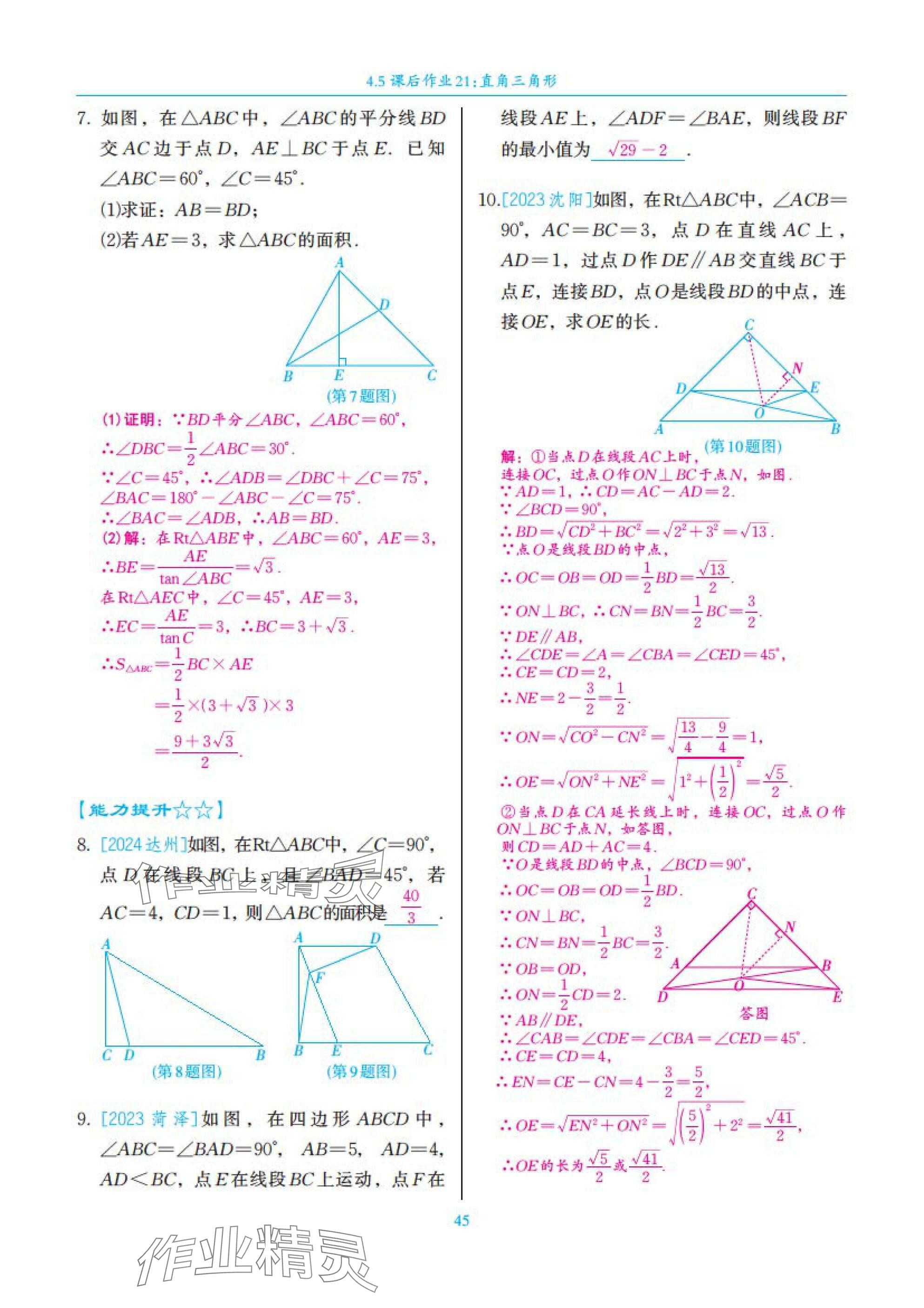 2025年中考复习一本全数学北师大版深圳专版&nbsp;参考答案第45页