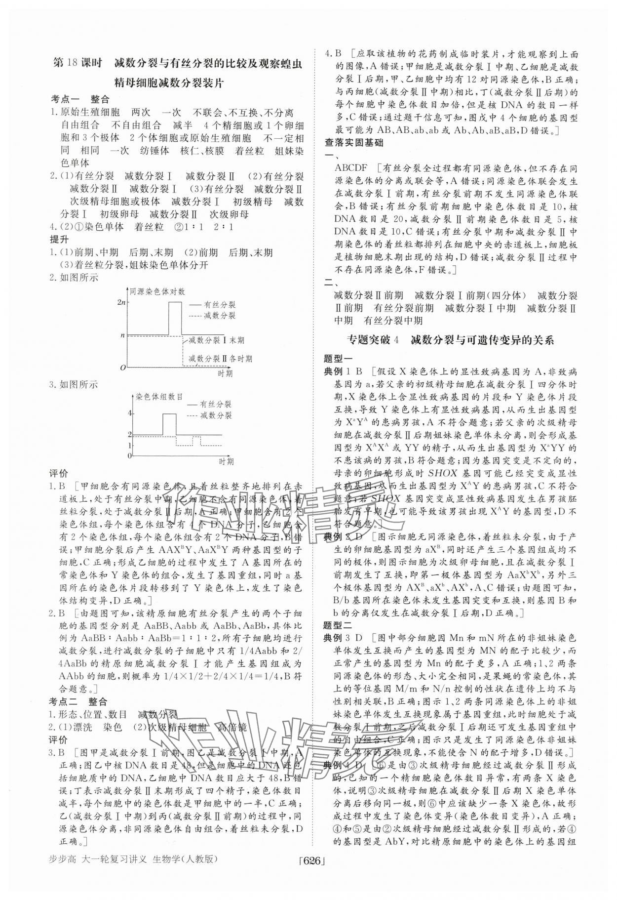 2025年步步高大一輪復習講義高中生物 第18頁