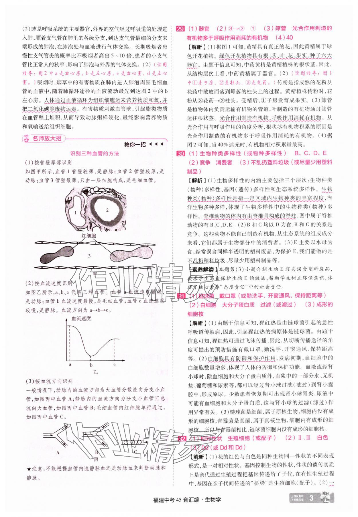 2025年金考卷福建中考45套匯編八年級生物 參考答案第3頁