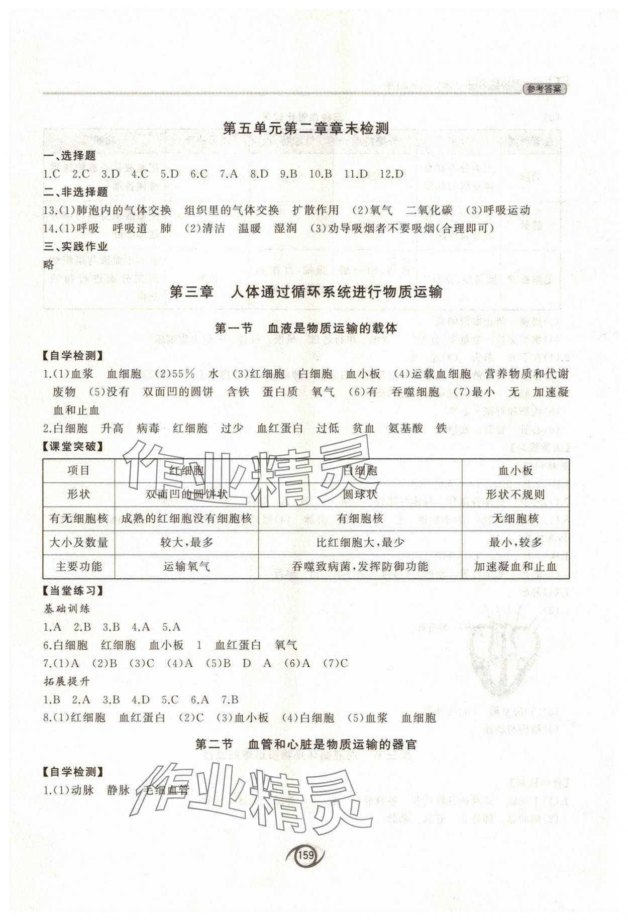 2025年初中同步练习册八年级生物学上册济南版西安出版社&nbsp;参考答案第4页