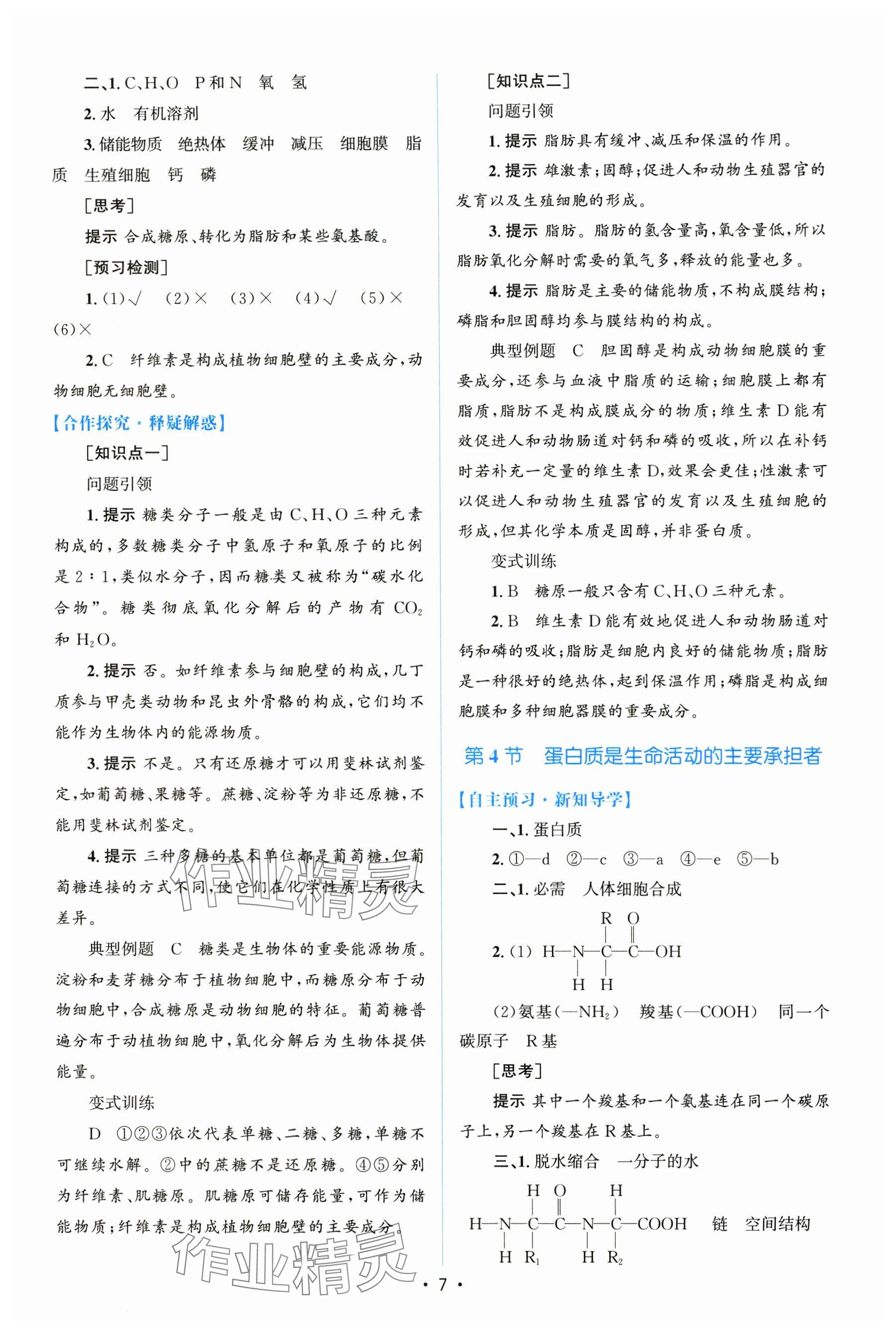 2024年高中同步測(cè)控優(yōu)化設(shè)計(jì)（分子與細(xì)胞）高中生物必修1全冊(cè)人教版 參考答案第6頁(yè)