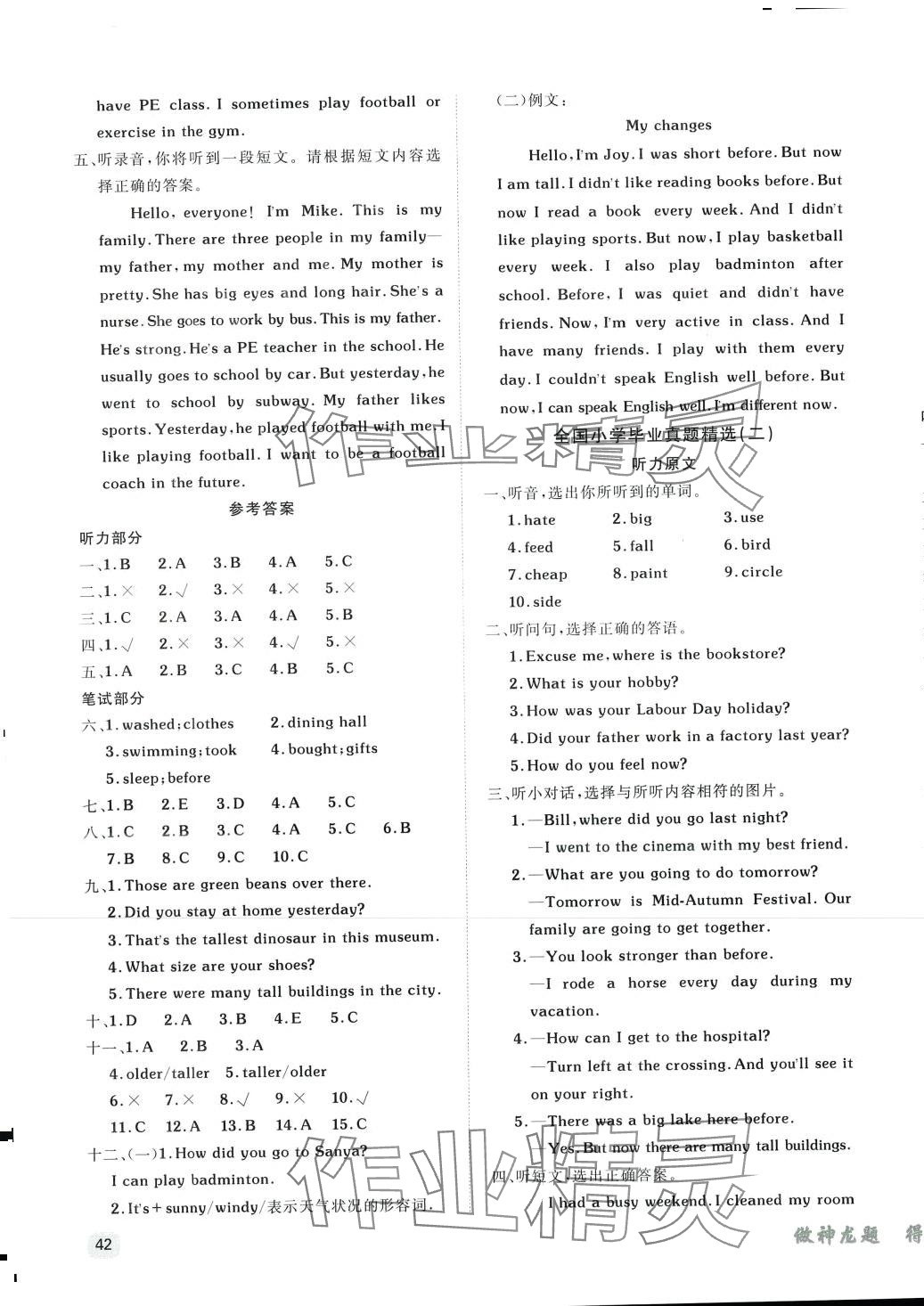 2024年小学升学多轮夯基总复习六年级英语人教版 第3页