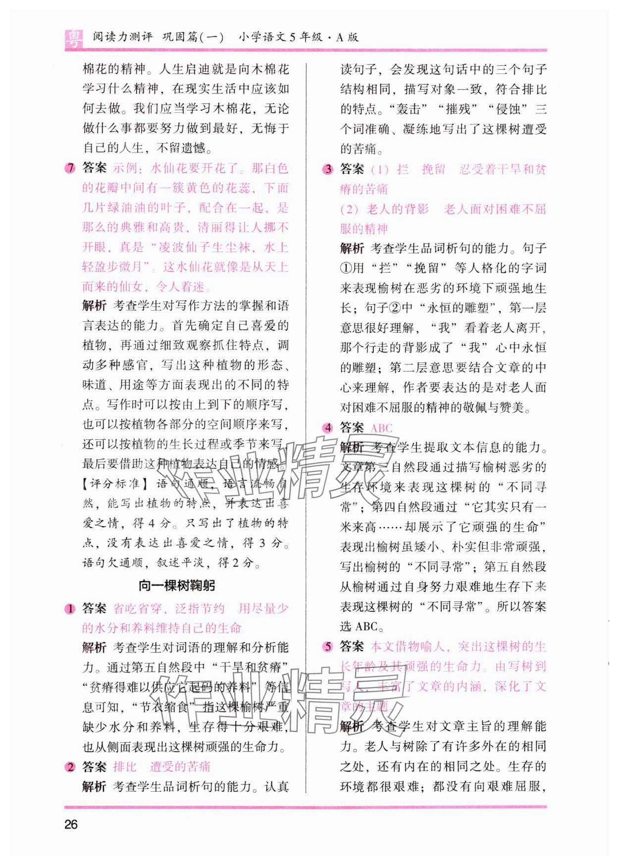 2023年木頭馬閱讀力測(cè)評(píng)小學(xué)語(yǔ)文五年級(jí)人教版培優(yōu)篇A版廣東專版 參考答案第11頁(yè)