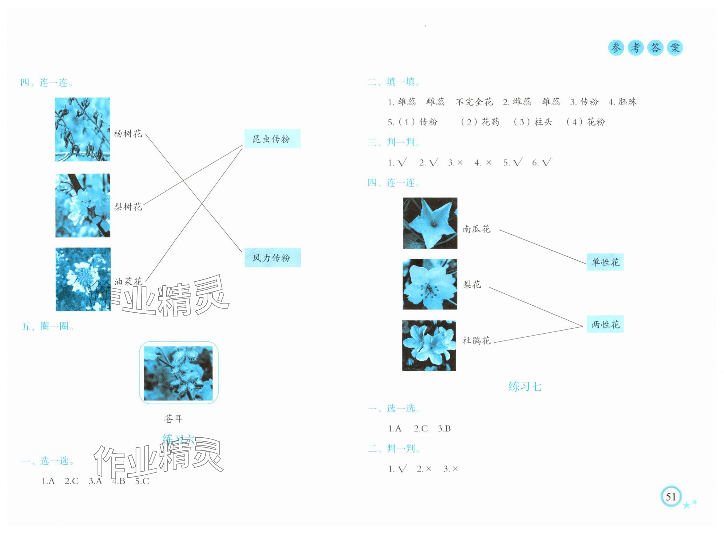 2025年暑假作业青岛出版社四年级科学教科版 第3页
