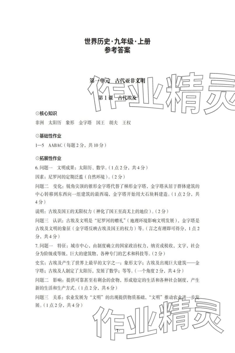 2025年知识与能力训练九年级历史上册人教版 参考答案第1页