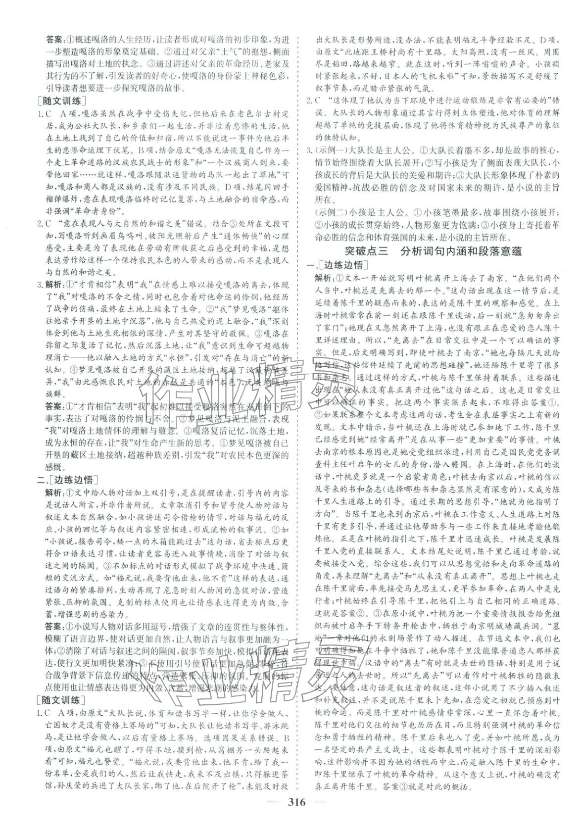 2026年优化探究高考专题复习语文&nbsp;参考答案第10页