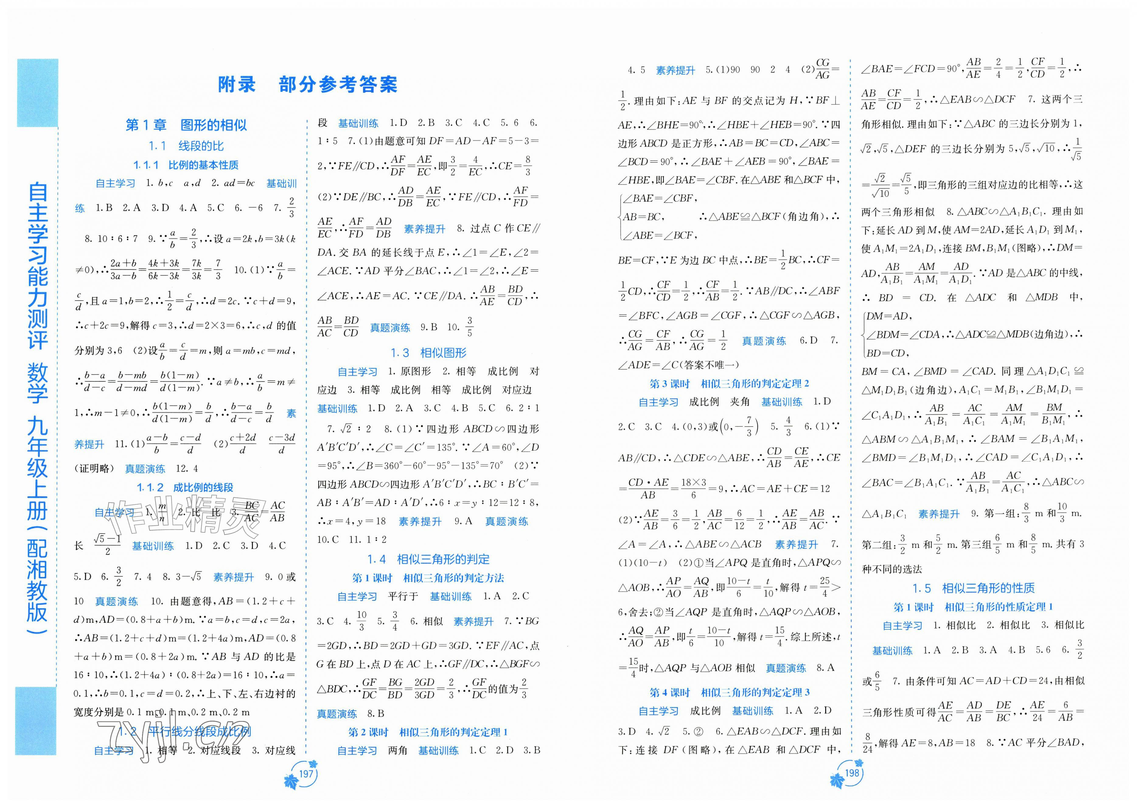 2026年自主学习能力测评九年级数学上册湘教版&nbsp;第1页