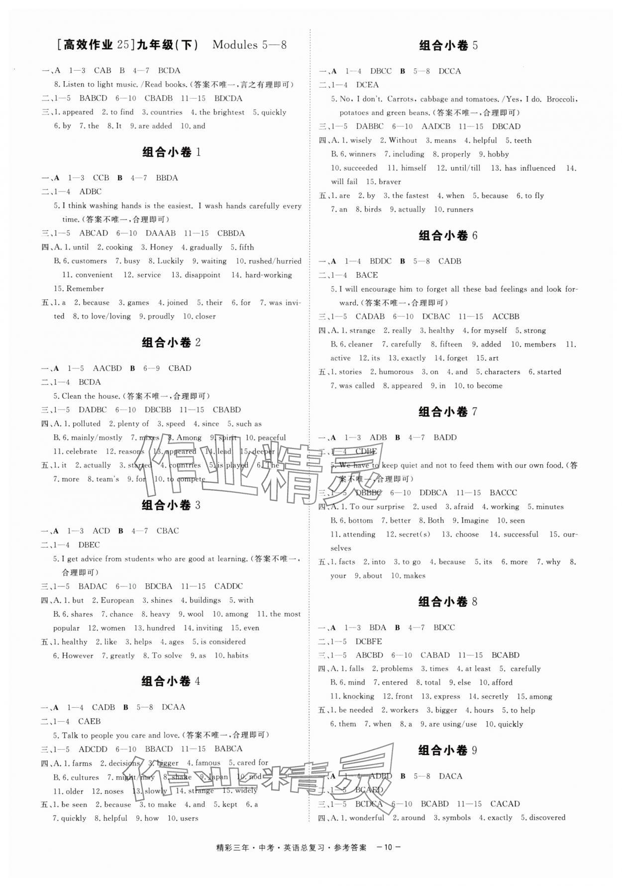 2025年精彩三年中考英语外研版 第10页