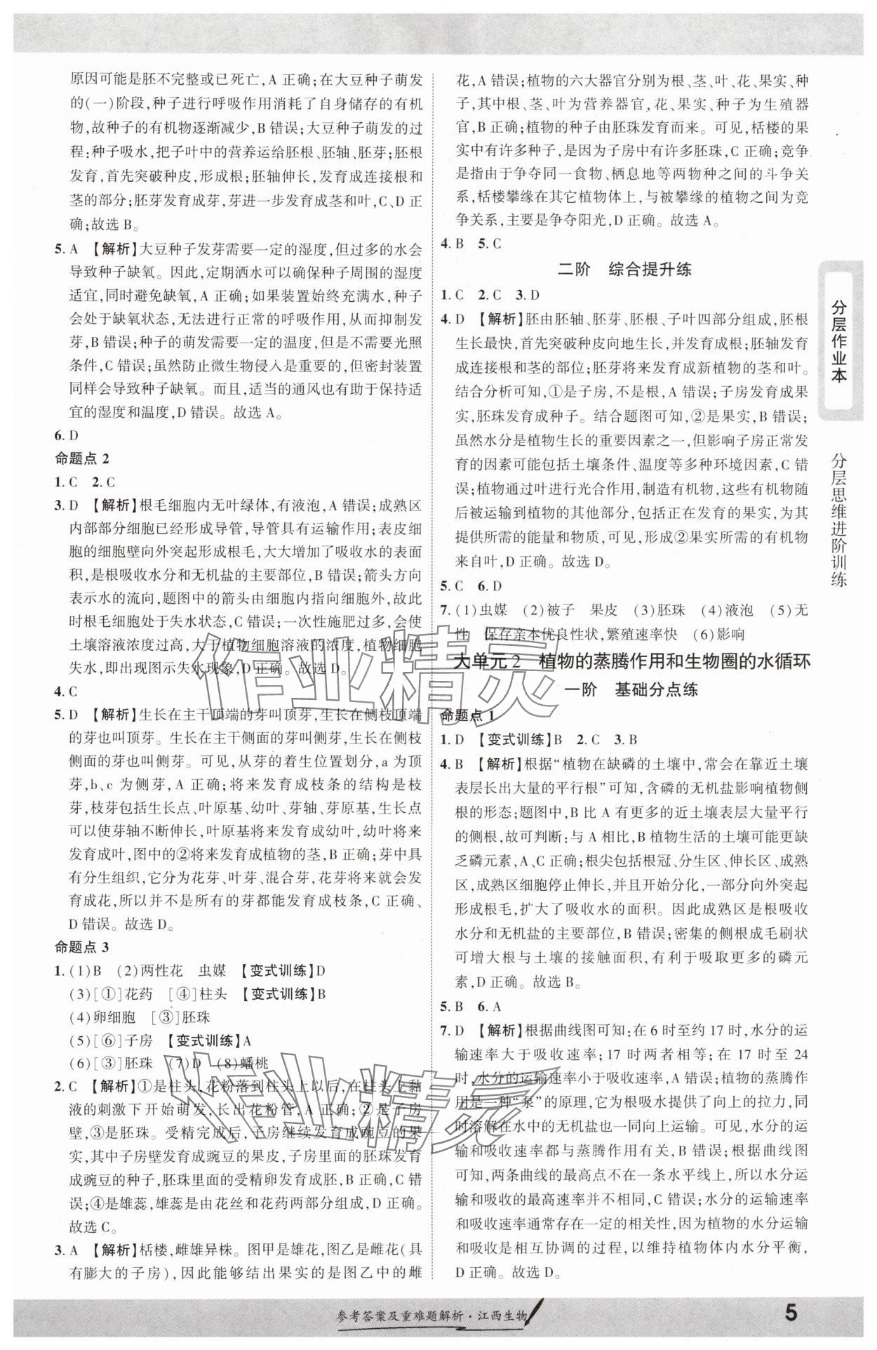 2025年一战成名考前新方案生物江西专版 参考答案第4页