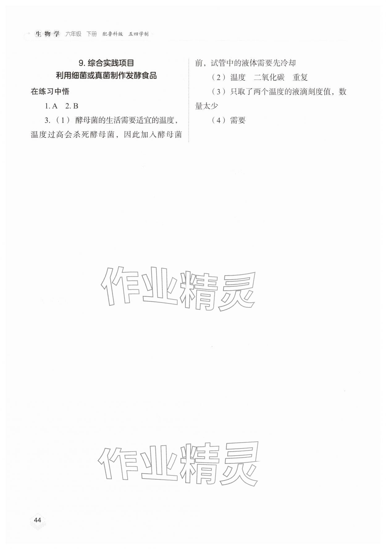 2026年实验探究报告册山东科学技术出版社六年级生物下册鲁科版五四制&nbsp;第2页