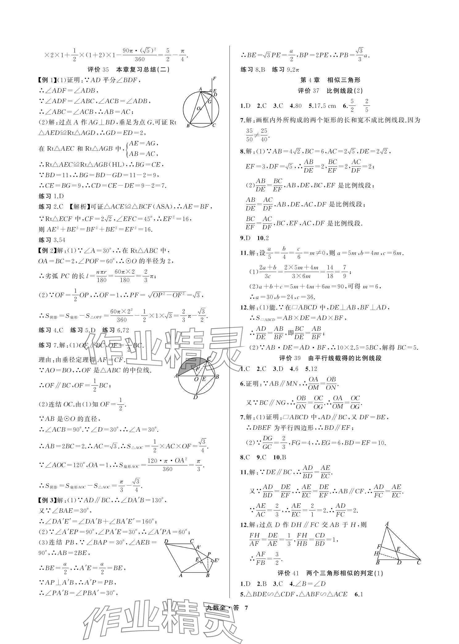 2023年名師面對面學科素養評價九年級數學上冊浙教版 參考答案第7頁